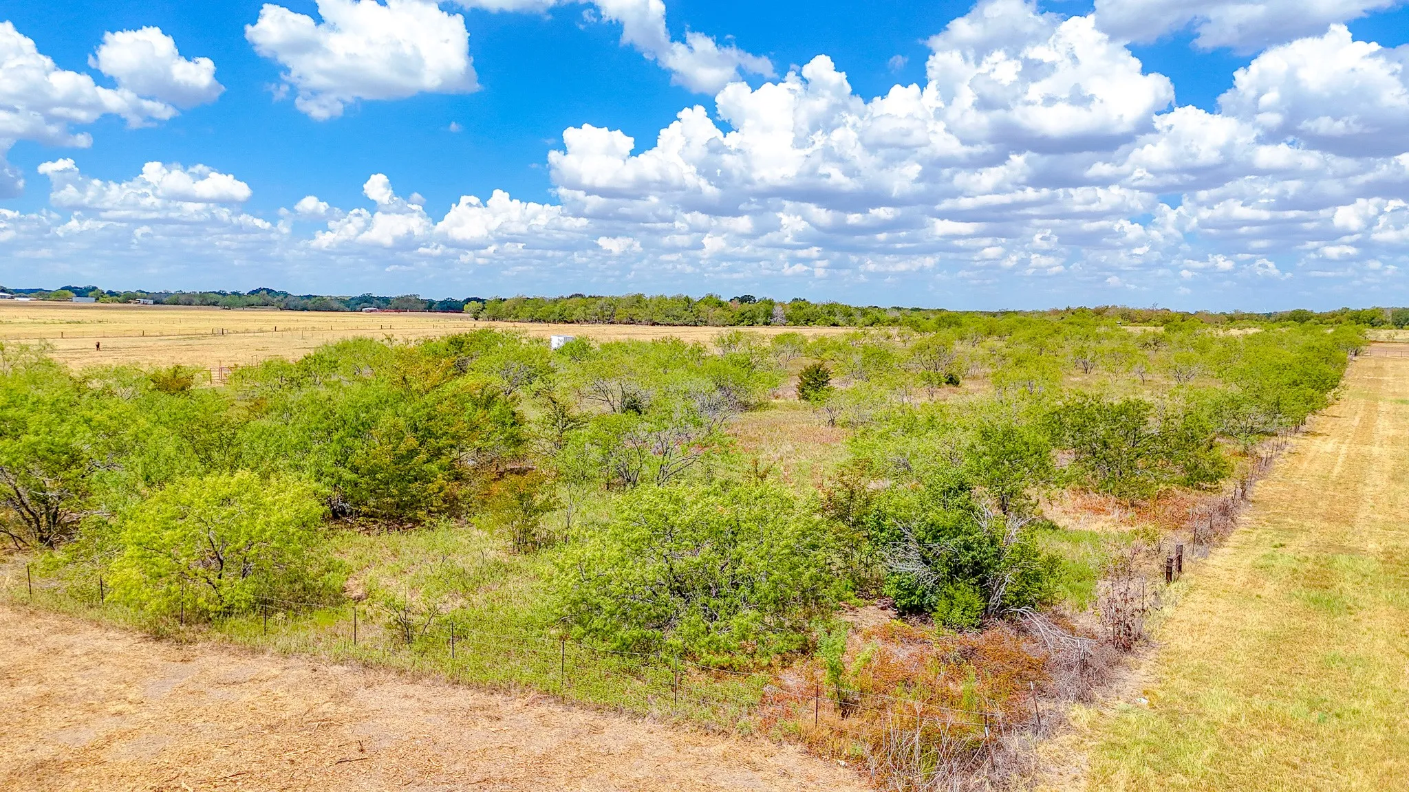 Unimproved Land For Sale in Navarro County , TBD State Highway 31, Dawson, Texas 76639, 0, 0, Garage spaces, 0 Sqft, built in 2000, mls#21380732, Real Estate Agent in Dawson, Homes For Sale in Navarro county, Homes For Sale in Dawson, Realtor in Dawson Texas, Real Estate Brokerage Independent Realty Texas, Luminita Cordes Realtor