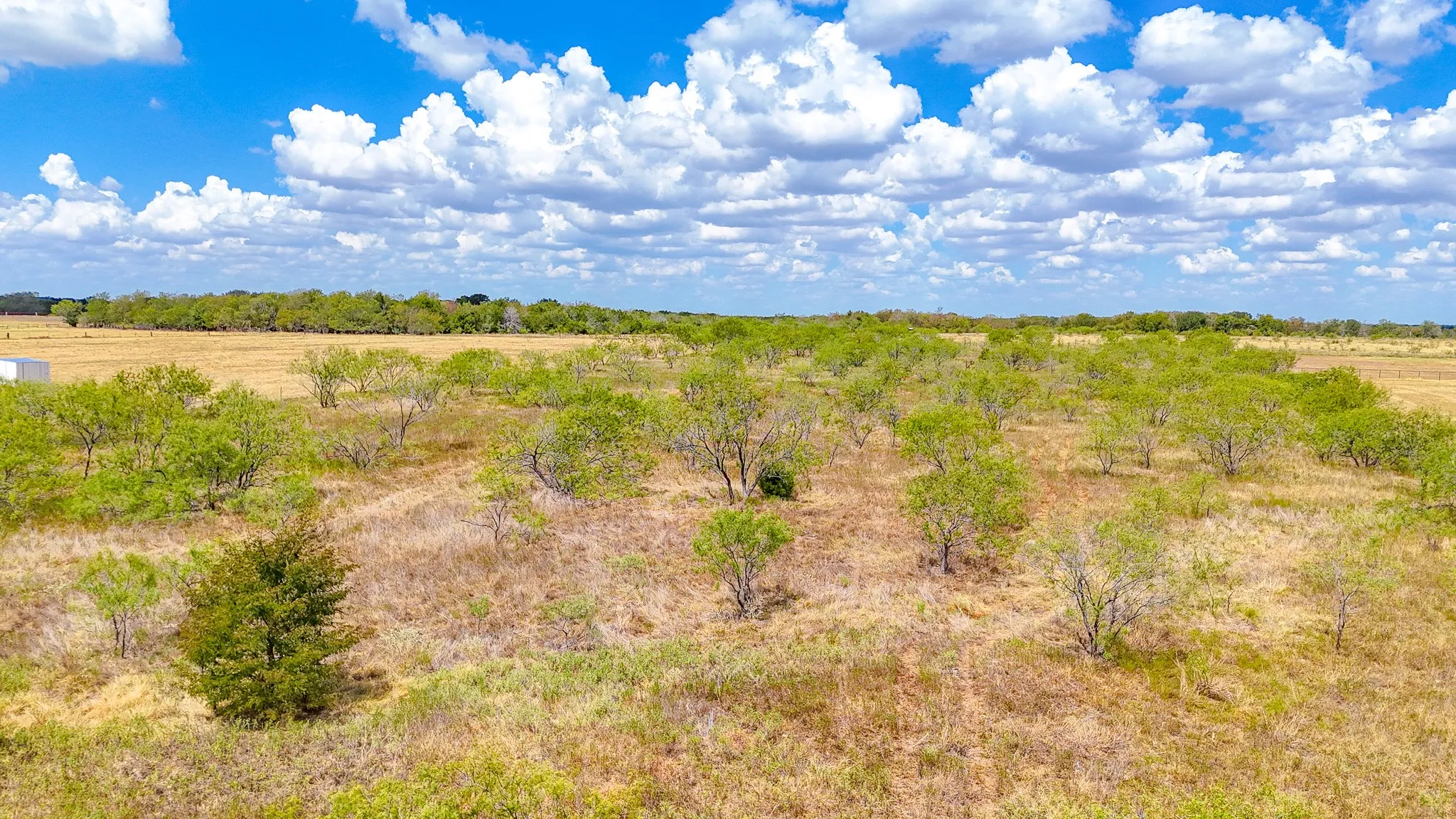 Unimproved Land For Sale in Navarro County , TBD State Highway 31, Dawson, Texas 76639, 0, 0, Garage spaces, 0 Sqft, built in 2000, mls#21380732, Real Estate Agent in Dawson, Homes For Sale in Navarro county, Homes For Sale in Dawson, Realtor in Dawson Texas, Real Estate Brokerage Independent Realty Texas, Luminita Cordes Realtor