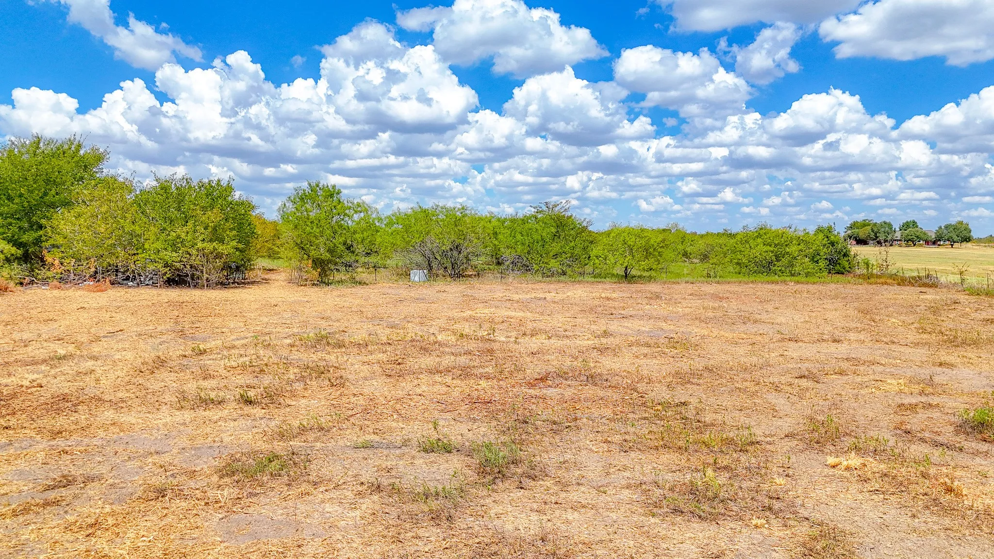 Unimproved Land For Sale in Navarro County , TBD State Highway 31, Dawson, Texas 76639, 0, 0, Garage spaces, 0 Sqft, built in 2000, mls#21380732, Real Estate Agent in Dawson, Homes For Sale in Navarro county, Homes For Sale in Dawson, Realtor in Dawson Texas, Real Estate Brokerage Independent Realty Texas, Luminita Cordes Realtor