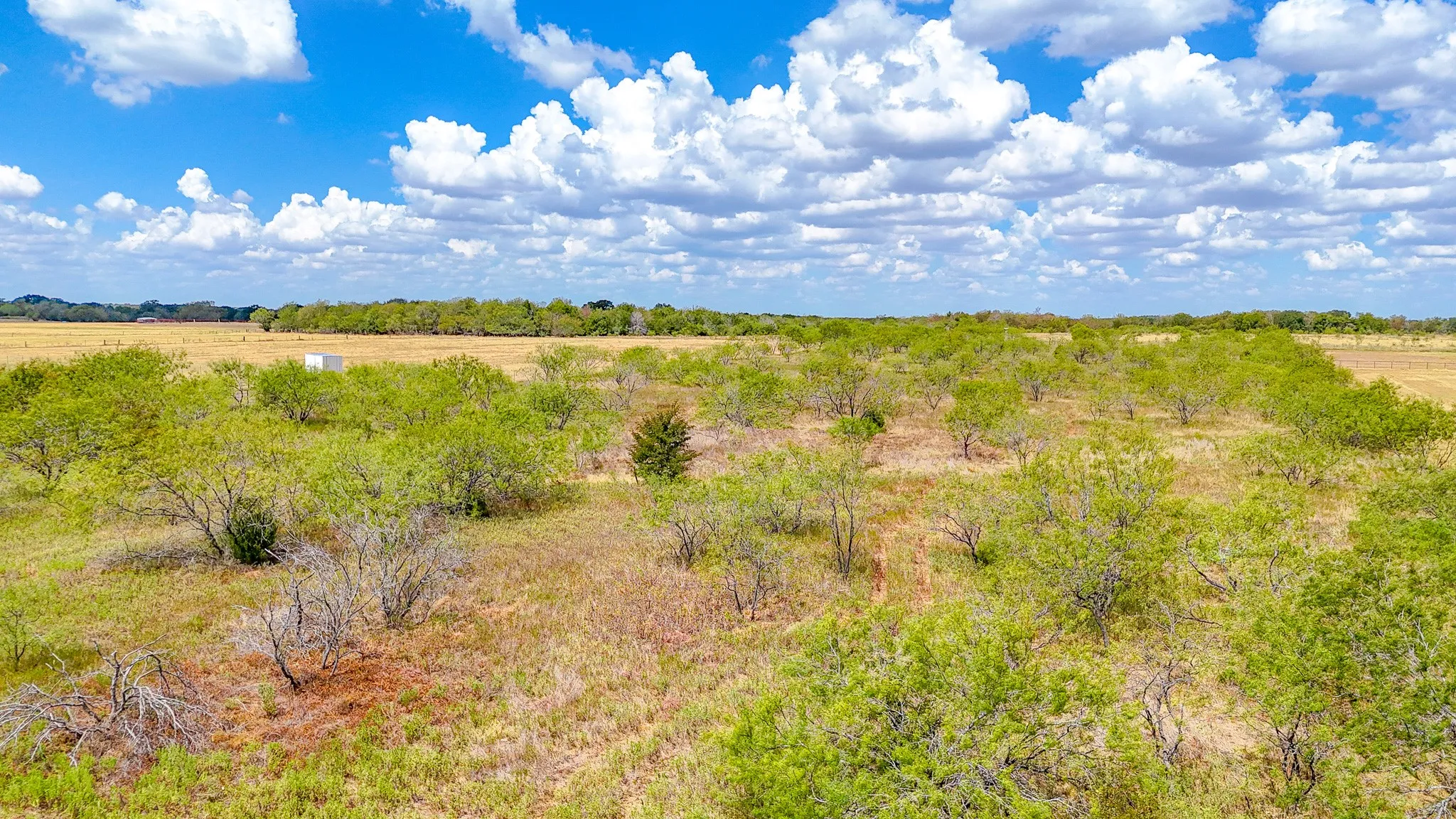 Unimproved Land For Sale in Navarro County , TBD State Highway 31, Dawson, Texas 76639, 0, 0, Garage spaces, 0 Sqft, built in 2000, mls#21380732, Real Estate Agent in Dawson, Homes For Sale in Navarro county, Homes For Sale in Dawson, Realtor in Dawson Texas, Real Estate Brokerage Independent Realty Texas, Luminita Cordes Realtor