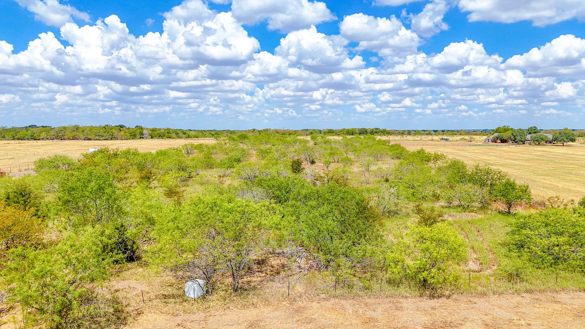 Unimproved Land For Sale in Navarro County , TBD State Highway 31, Dawson, Texas 76639, 0, 0, Garage spaces, 0 Sqft, built in 2000, mls#21380732, Real Estate Agent in Dawson, Homes For Sale in Navarro county, Homes For Sale in Dawson, Realtor in Dawson Texas, Real Estate Brokerage Independent Realty Texas, Luminita Cordes Realtor