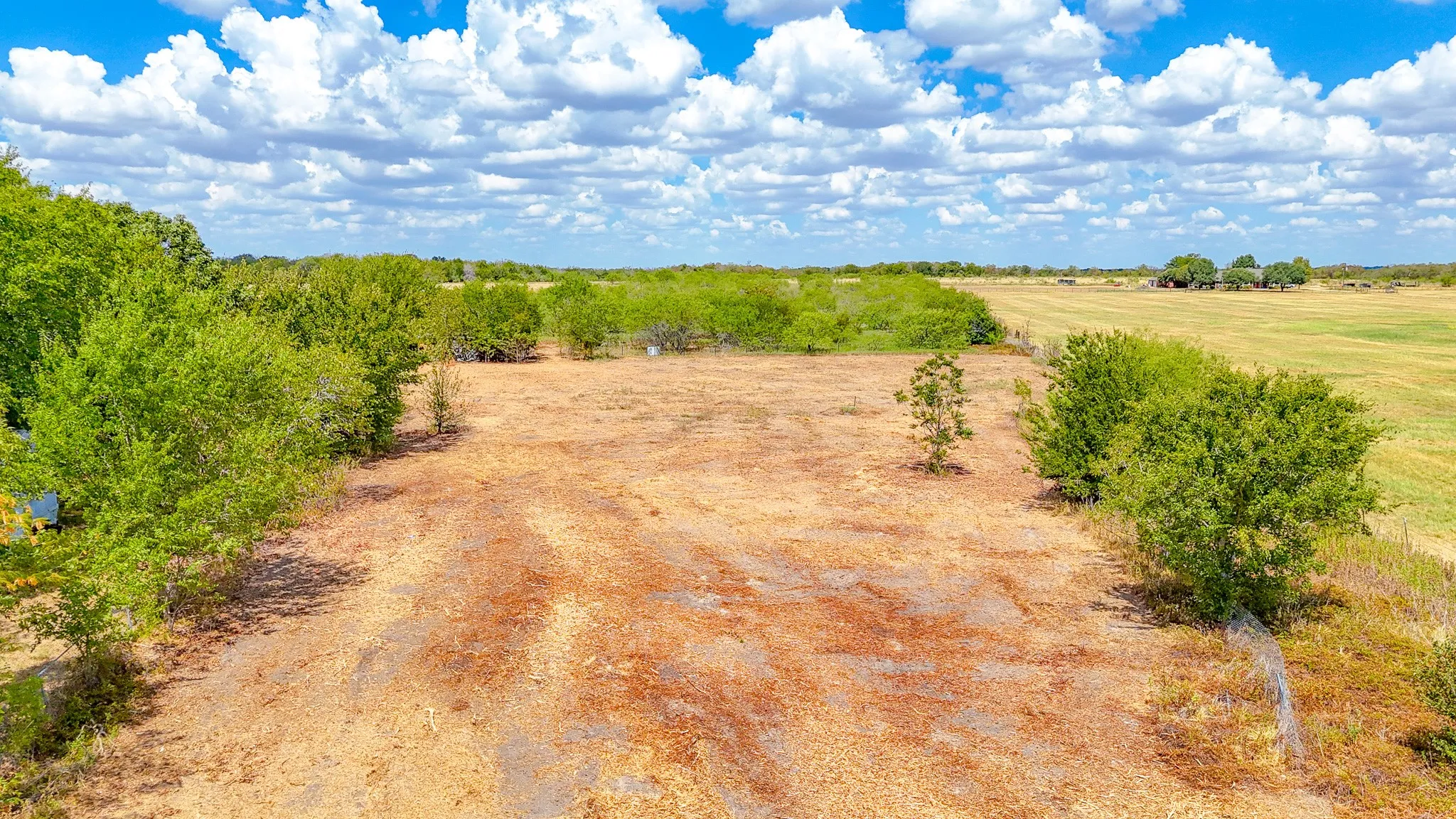 Unimproved Land For Sale in Navarro County , TBD State Highway 31, Dawson, Texas 76639, 0, 0, Garage spaces, 0 Sqft, built in 2000, mls#21380732, Real Estate Agent in Dawson, Homes For Sale in Navarro county, Homes For Sale in Dawson, Realtor in Dawson Texas, Real Estate Brokerage Independent Realty Texas, Luminita Cordes Realtor