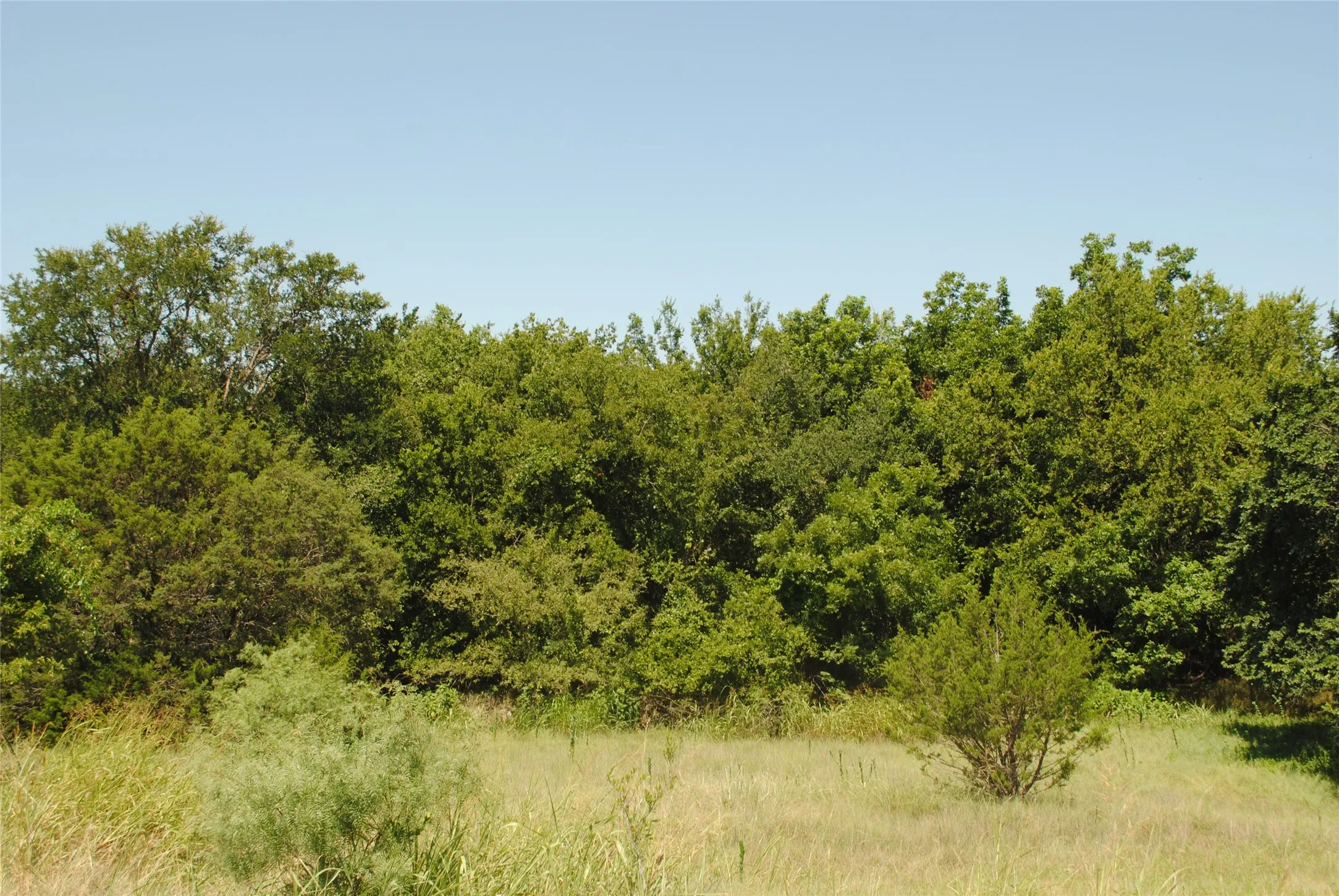 Single Family Residence For Sale in Mills County , 73 109, Goldthwaite, Texas 76844, 4 Bedroom, 3 Bathroom, Garage spaces, 2,240 Sqft, built in 1986, mls#21380993, Real Estate Agent in Goldthwaite, Homes For Sale in Mills county, Homes For Sale in Goldthwaite, Realtor in Goldthwaite Texas, Real Estate Brokerage Independent Realty Texas, Luminita Cordes Realtor