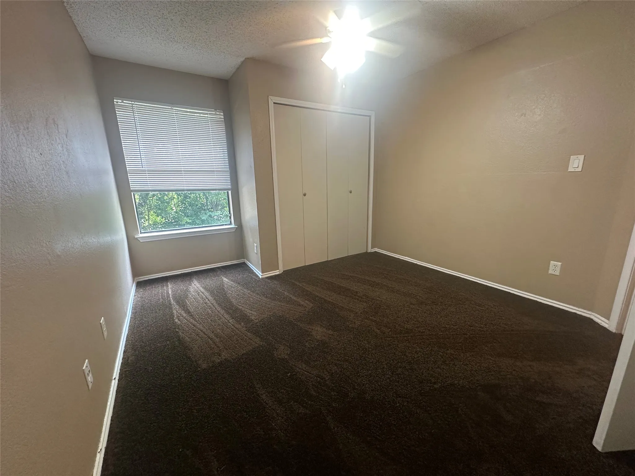 Brown carpeting, white trim, and a window with horizontal blinds
