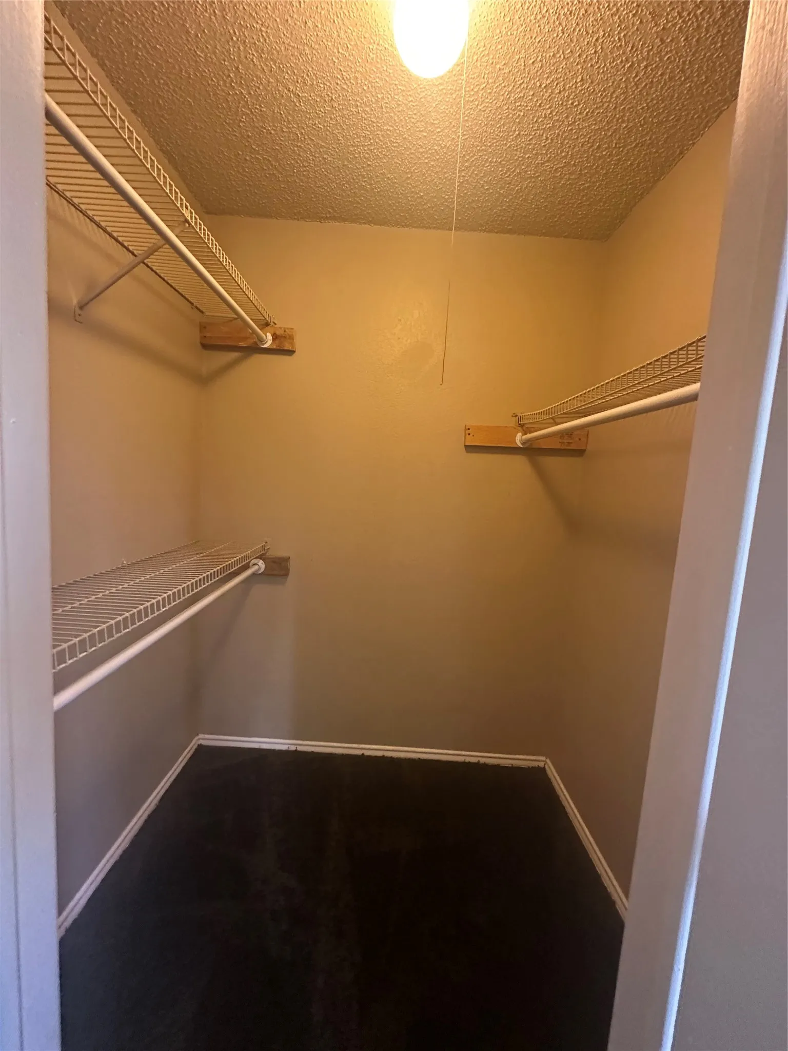 Carpeted walk-in closet featuring wire shelving and hanging rods