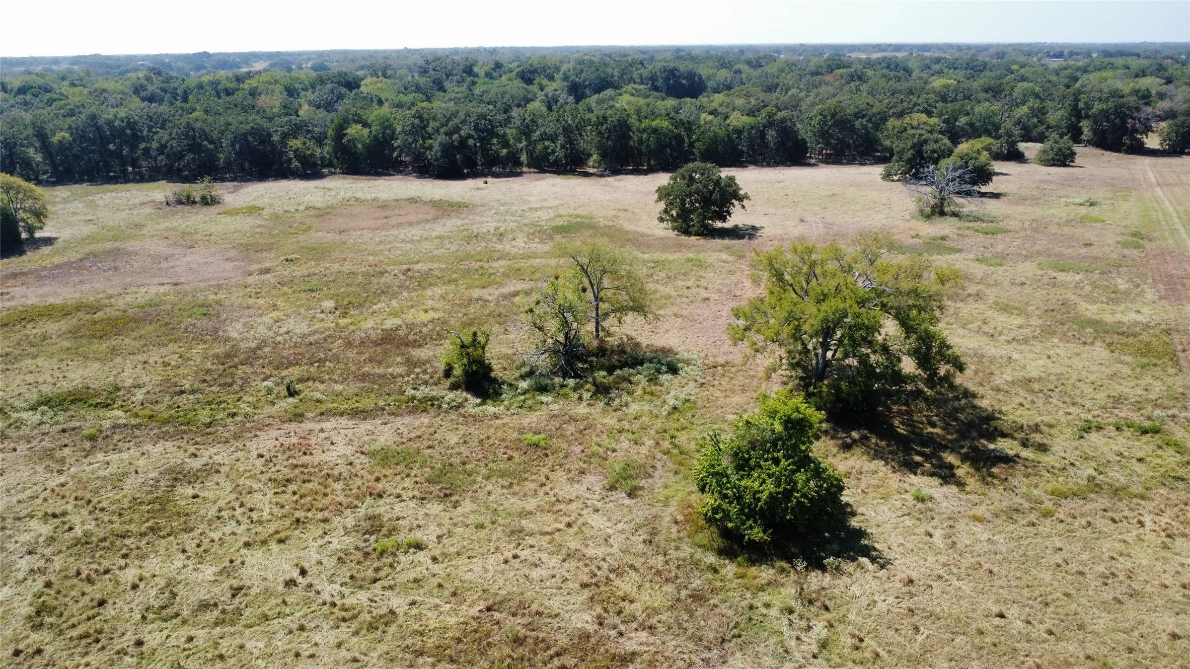 Improved Land For Sale in Rains County , 1000 Rs County Road 3237, Emory, Texas 75440, 0, 0, Garage spaces, 0 Sqft, built in 0, mls#21381022, Real Estate Agent in Emory, Homes For Sale in Rains county, Homes For Sale in Emory, Realtor in Emory Texas, Real Estate Brokerage Independent Realty Texas, Luminita Cordes Realtor
