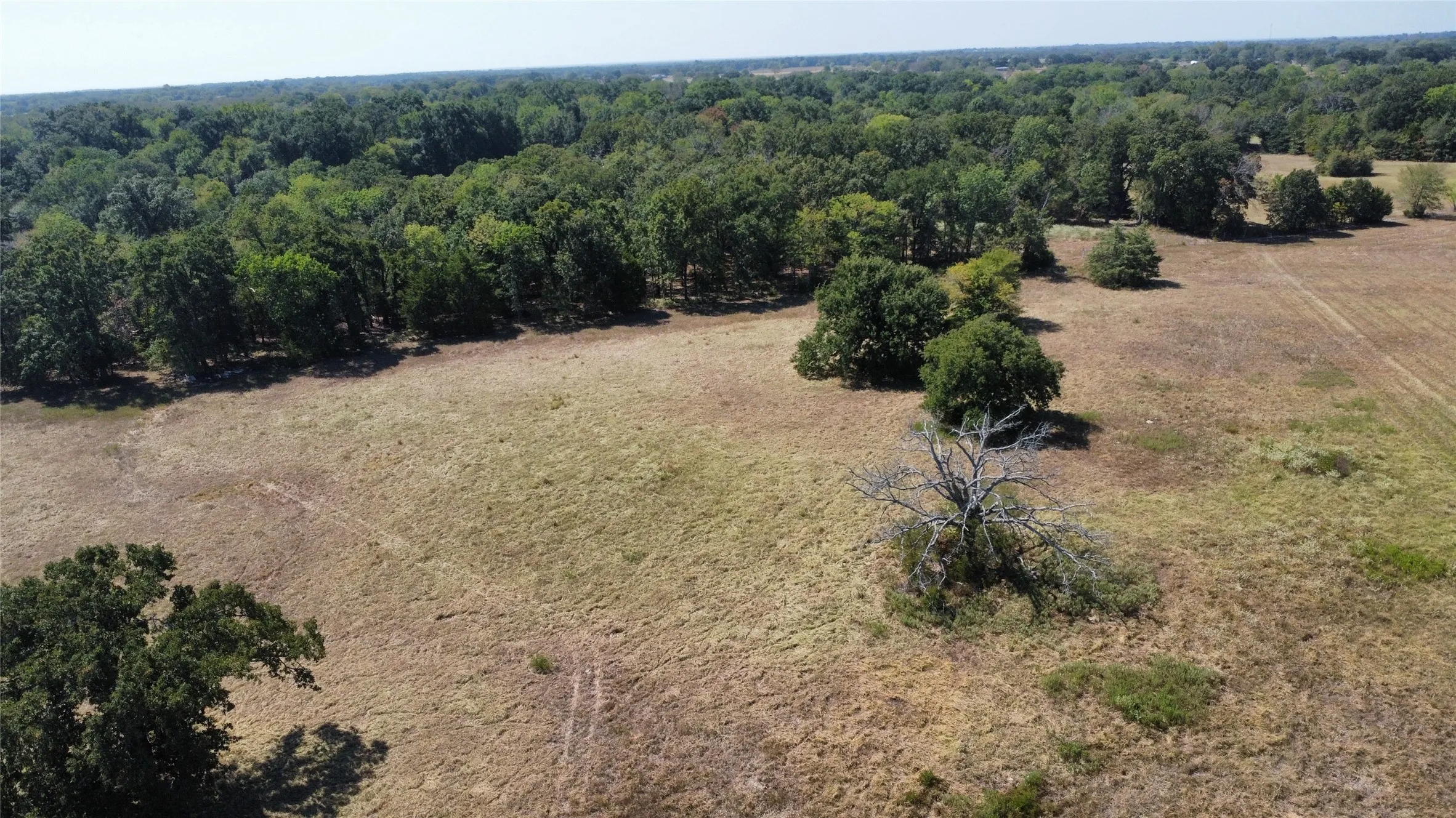 Improved Land For Sale in Rains County , 1000 Rs County Road 3237, Emory, Texas 75440, 0, 0, Garage spaces, 0 Sqft, built in 0, mls#21381022, Real Estate Agent in Emory, Homes For Sale in Rains county, Homes For Sale in Emory, Realtor in Emory Texas, Real Estate Brokerage Independent Realty Texas, Luminita Cordes Realtor