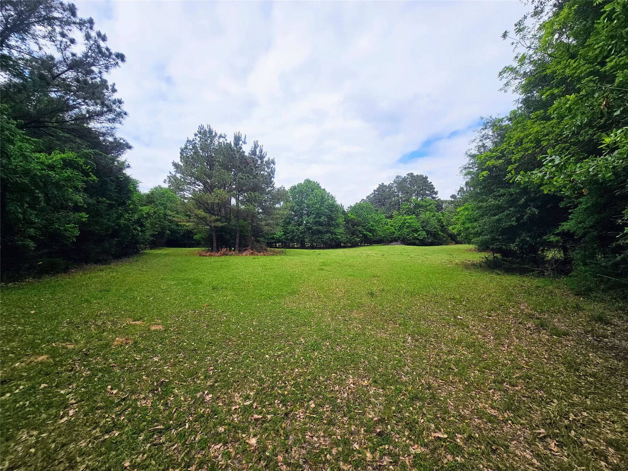 Unimproved Land For Sale in Lamar County , TBD County Road 45400, Paris, Texas 75462, 0, 0, Garage spaces, 0 Sqft, built in 0, mls#21380586, Real Estate Agent in Paris, Homes For Sale in Lamar county, Homes For Sale in Paris, Realtor in Paris Texas, Real Estate Brokerage Independent Realty Texas, Luminita Cordes Realtor