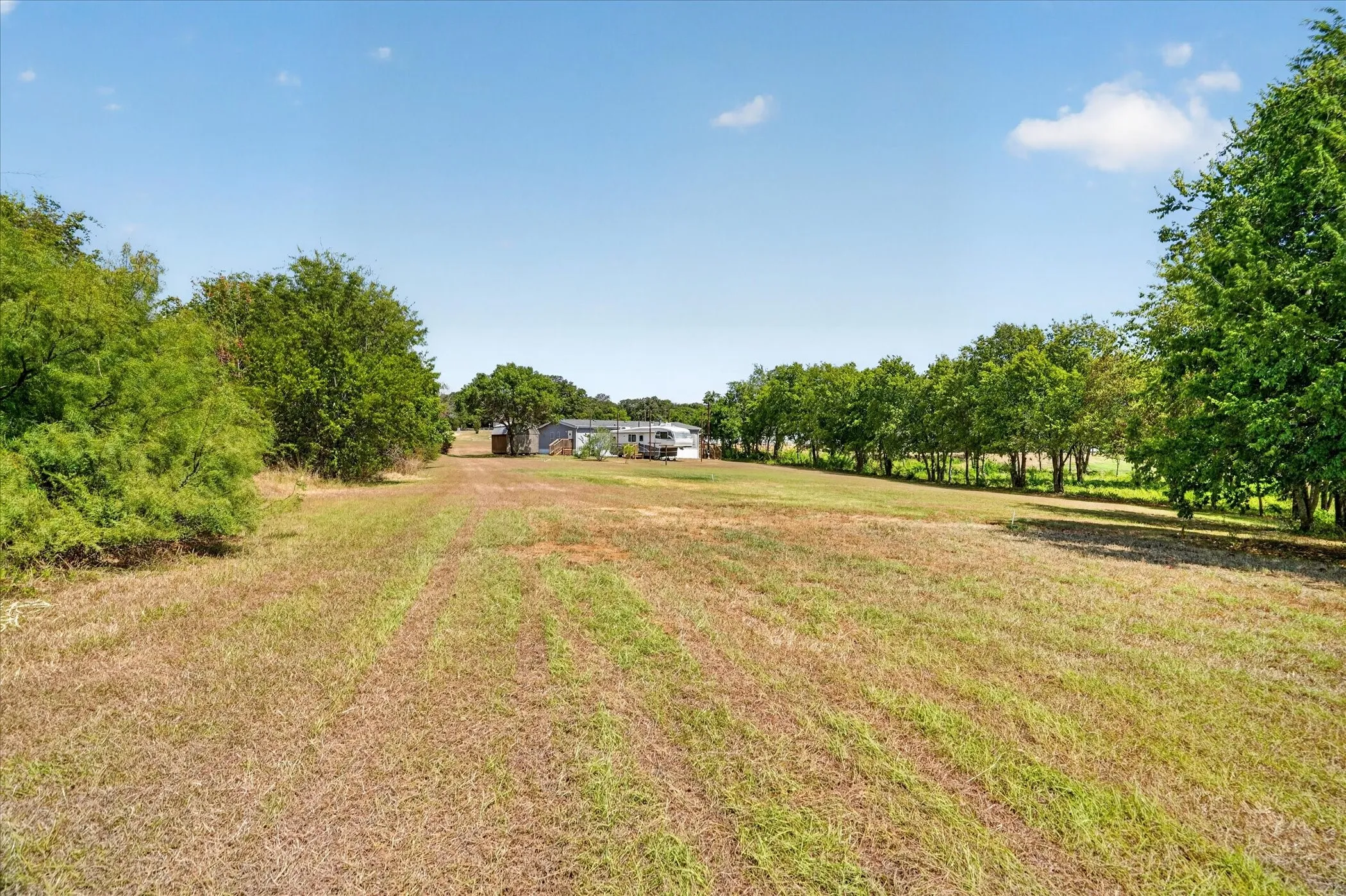 Expansive cleared lot with mature trees bordering the property