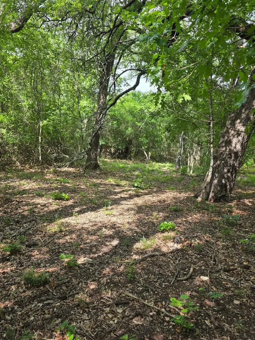 Unimproved Land For Sale in Johnson County , 8415 Hollandbush Court, Cleburne, Texas 76033, 0, 0, Garage spaces, 0 Sqft, built in 0, mls#21381111, Real Estate Agent in Cleburne, Homes For Sale in Johnson county, Homes For Sale in Cleburne, Realtor in Cleburne Texas, Real Estate Brokerage Independent Realty Texas, Luminita Cordes Realtor