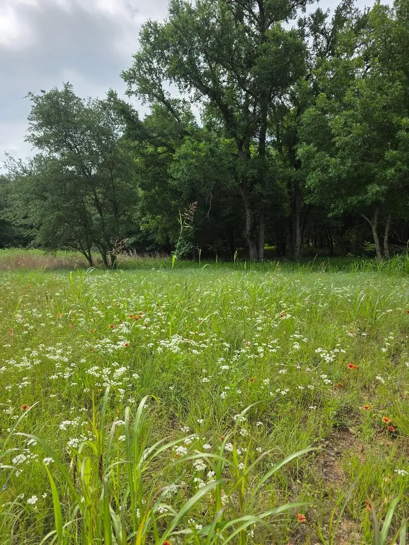 Unimproved Land For Sale in Johnson County , 8415 Hollandbush Court, Cleburne, Texas 76033, 0, 0, Garage spaces, 0 Sqft, built in 0, mls#21381111, Real Estate Agent in Cleburne, Homes For Sale in Johnson county, Homes For Sale in Cleburne, Realtor in Cleburne Texas, Real Estate Brokerage Independent Realty Texas, Luminita Cordes Realtor
