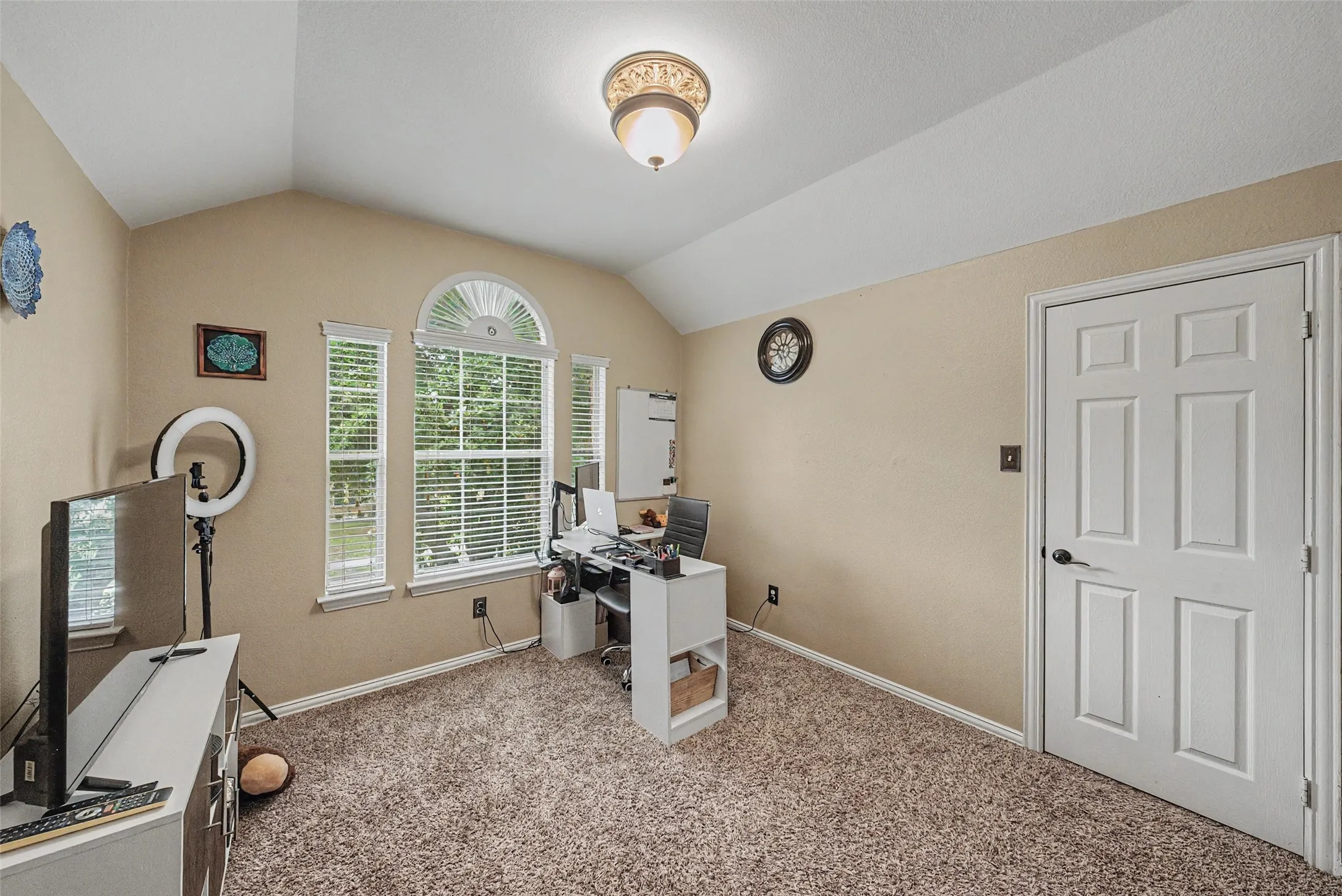 Vaulted ceiling, arched window, six-panel interior door, and textured carpeting