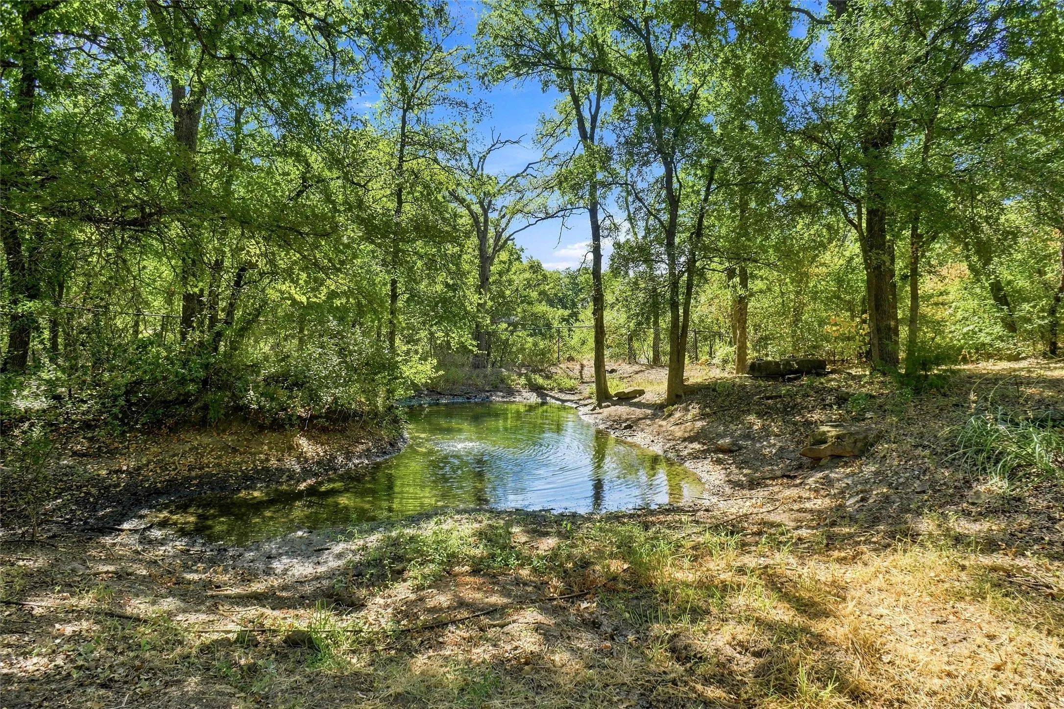 Pond