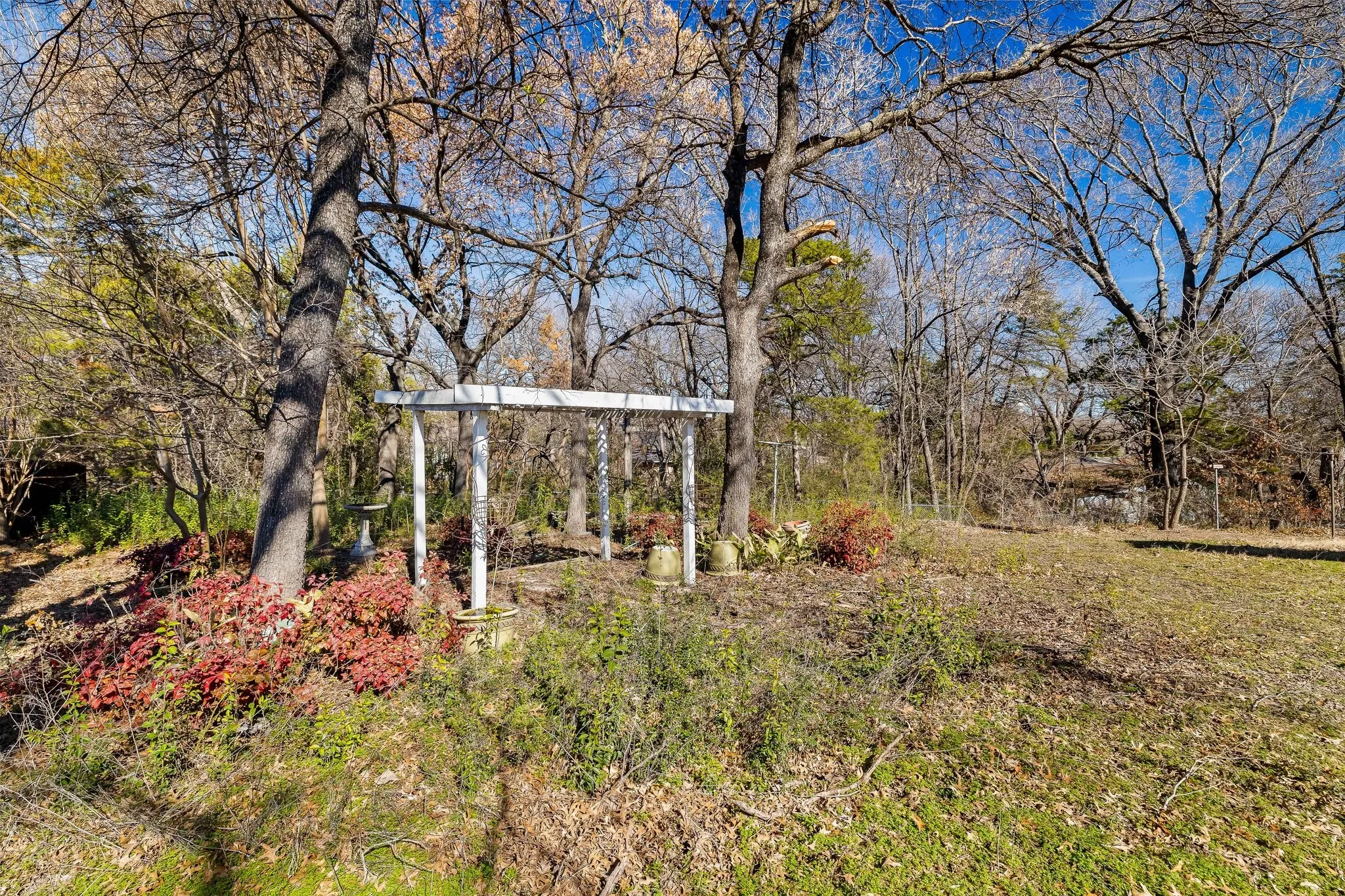 Single Family Residence For Rent in Collin County , 2110 S Mcdonald Street, Mc Kinney, Texas 75069, 3 Bedroom, 2 Bathroom, 2 Garage spaces, 1,980 Sqft, built in 1981, mls#21381072, Real Estate Agent in Mc Kinney, Homes For Rent in Collin county, Homes For Rent in Mc Kinney, Realtor in Mc Kinney Texas, Real Estate Brokerage Independent Realty Texas, Luminita Cordes Realtor