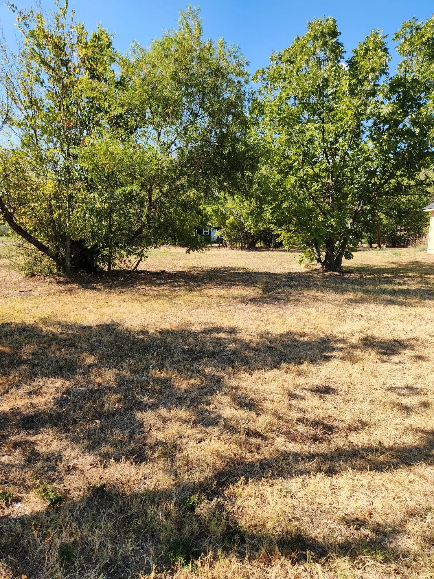 Unimproved Land For Sale in Navarro County , 802 E 17th Street, Corsicana, Texas 75110, 0, 0, Garage spaces, 0 Sqft, built in 0, mls#21380517, Real Estate Agent in Corsicana, Homes For Sale in Navarro county, Homes For Sale in Corsicana, Realtor in Corsicana Texas, Real Estate Brokerage Independent Realty Texas, Luminita Cordes Realtor