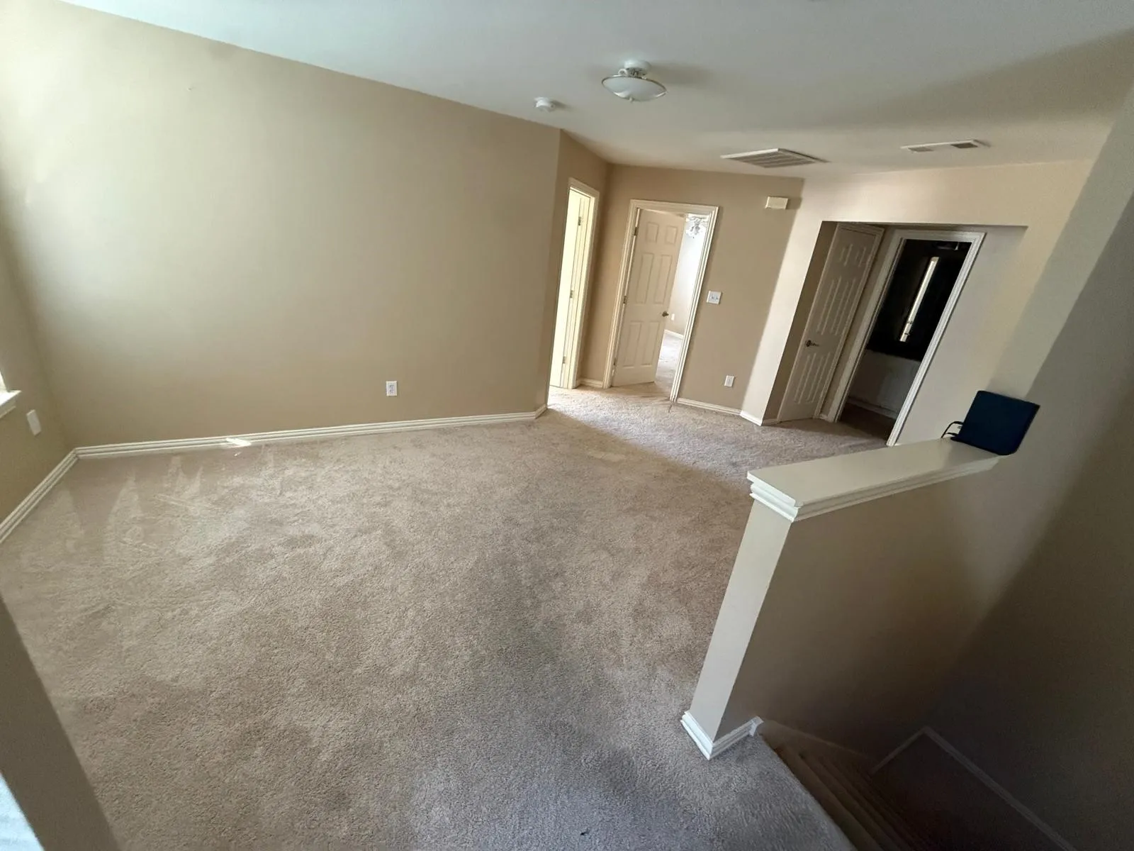 Neutral carpeting, light neutral wall paint, white trim, and a ceiling light fixture