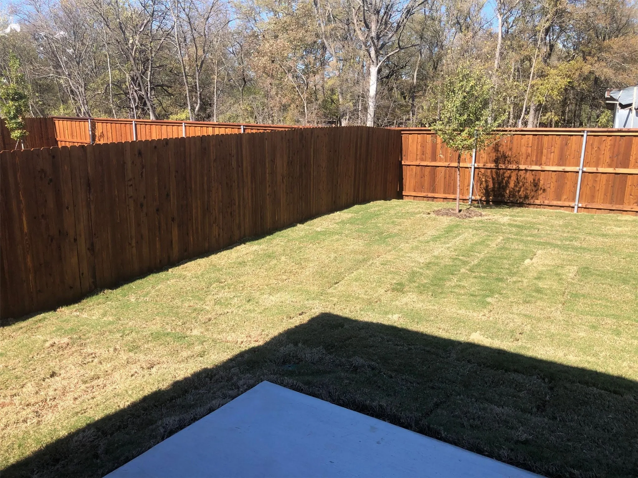 Single Family Residence For Rent in Collin County , 808 Juniper Street, Anna, Texas 75409, 3 Bedroom, 2 Bathroom, 2 Garage spaces, 1,699 Sqft, built in 2021, mls#21378432, Real Estate Agent in Anna, Homes For Rent in Collin county, Homes For Rent in Anna, Realtor in Anna Texas, Real Estate Brokerage Independent Realty Texas, Luminita Cordes Realtor