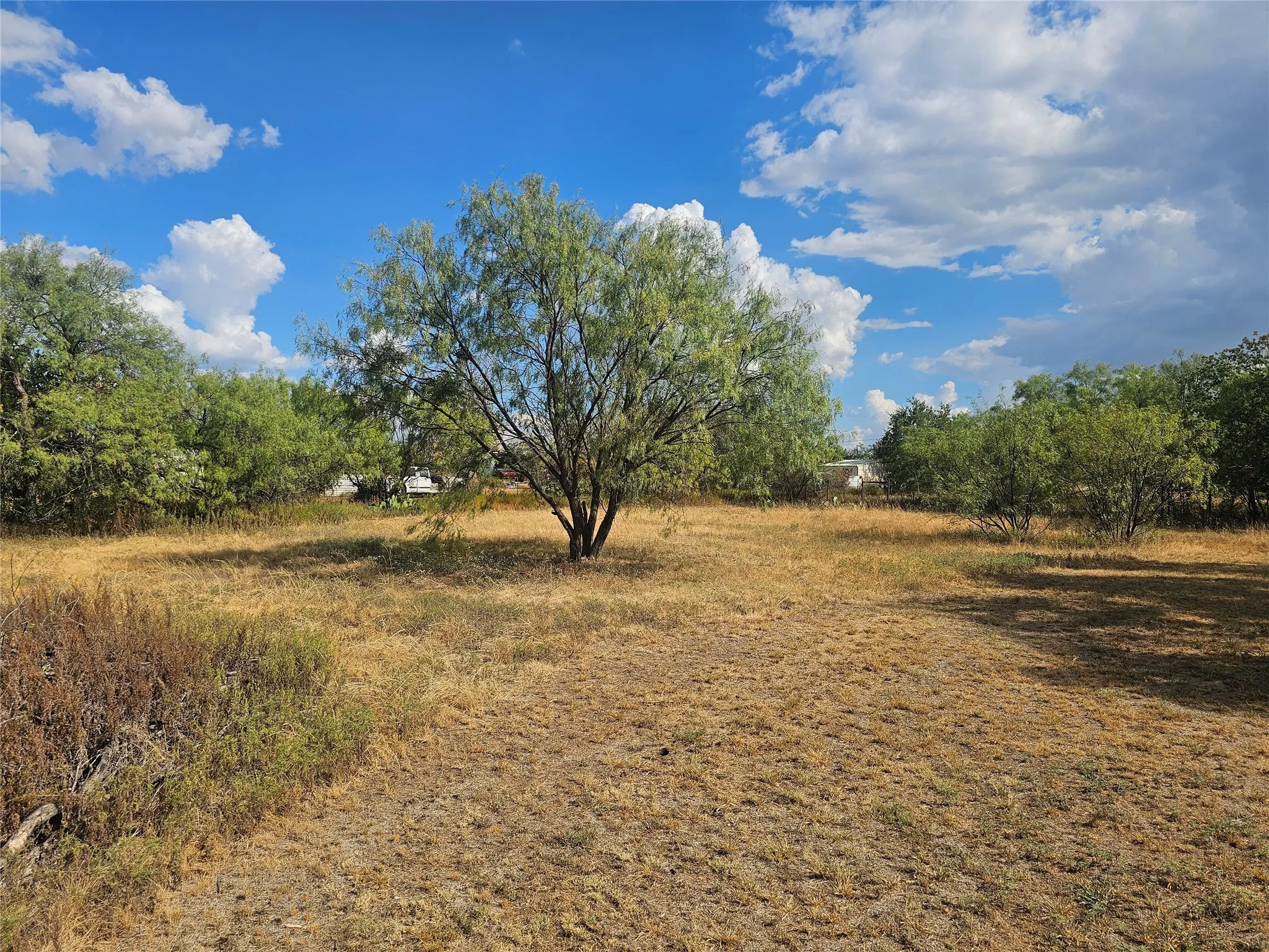 Single Family Residence For Sale in Coleman County , 1300 Bailey Street, Coleman, Texas 76834, 3 Bedroom, 2 Bathroom, Garage spaces, 1,431 Sqft, built in 0, mls#21381306, Real Estate Agent in Coleman, Homes For Sale in Coleman county, Homes For Sale in Coleman, Realtor in Coleman Texas, Real Estate Brokerage Independent Realty Texas, Luminita Cordes Realtor