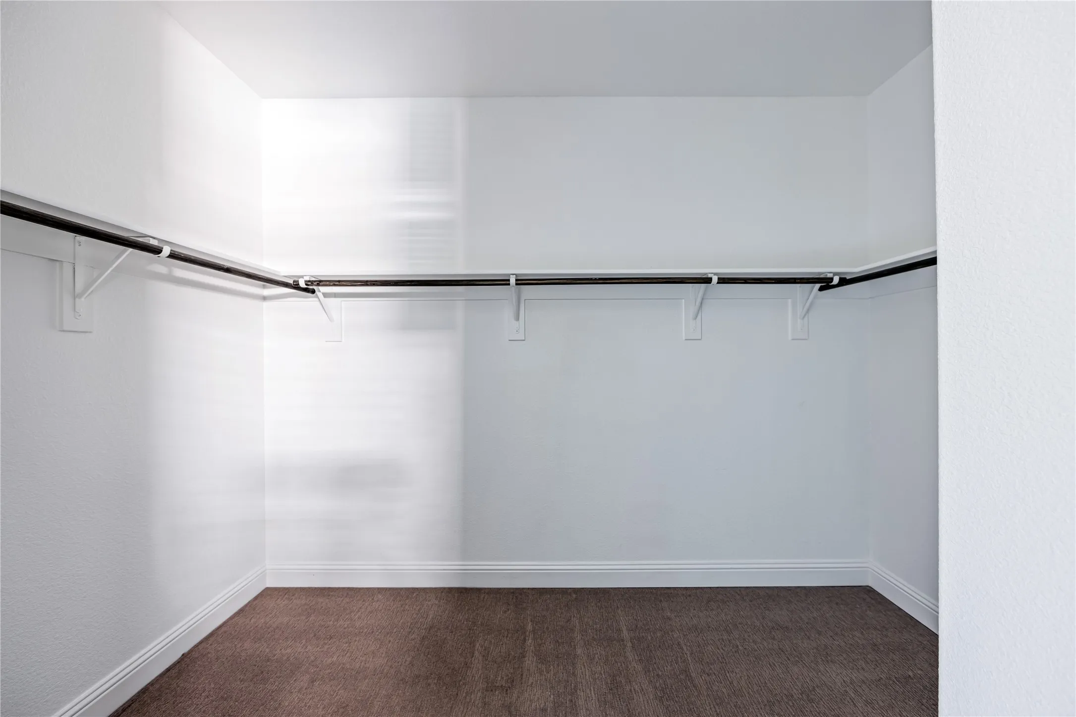 Built-in shelving with hanging rods and carpeted flooring