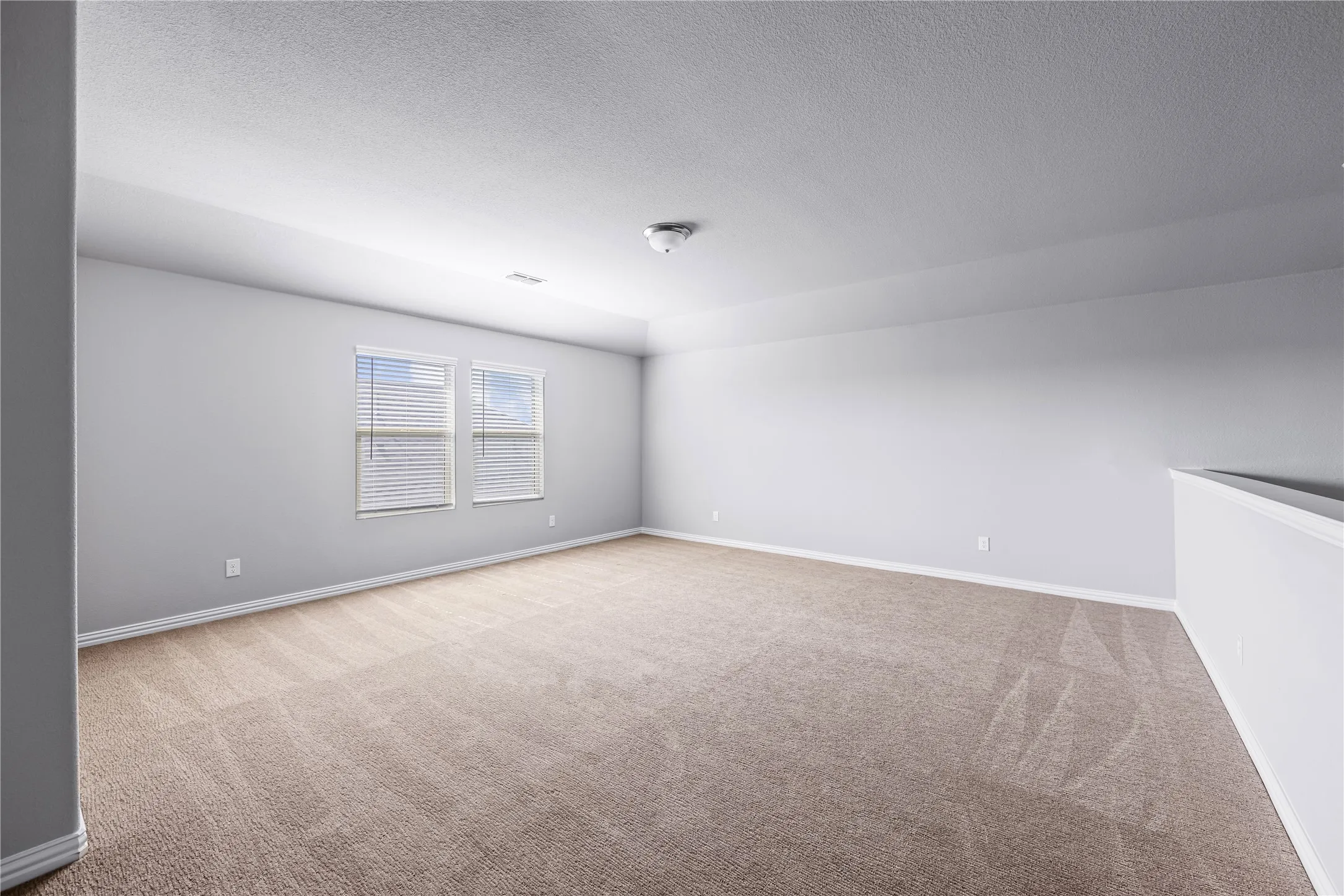 Spacious room with light neutral carpet, two windows with blinds, and light gray painted walls