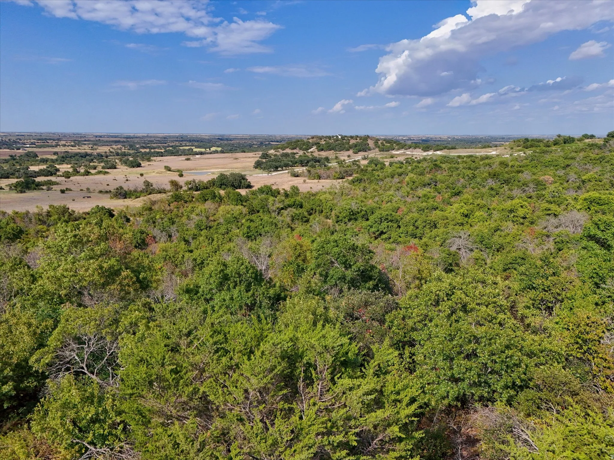 Unimproved Land For Sale in Hamilton County , LOT 29 CR 511, Hamilton, Texas 76531, 0, 0, Garage spaces, 0 Sqft, built in 0, mls#21381302, Real Estate Agent in Hamilton, Homes For Sale in Hamilton county, Homes For Sale in Hamilton, Realtor in Hamilton Texas, Real Estate Brokerage Independent Realty Texas, Luminita Cordes Realtor