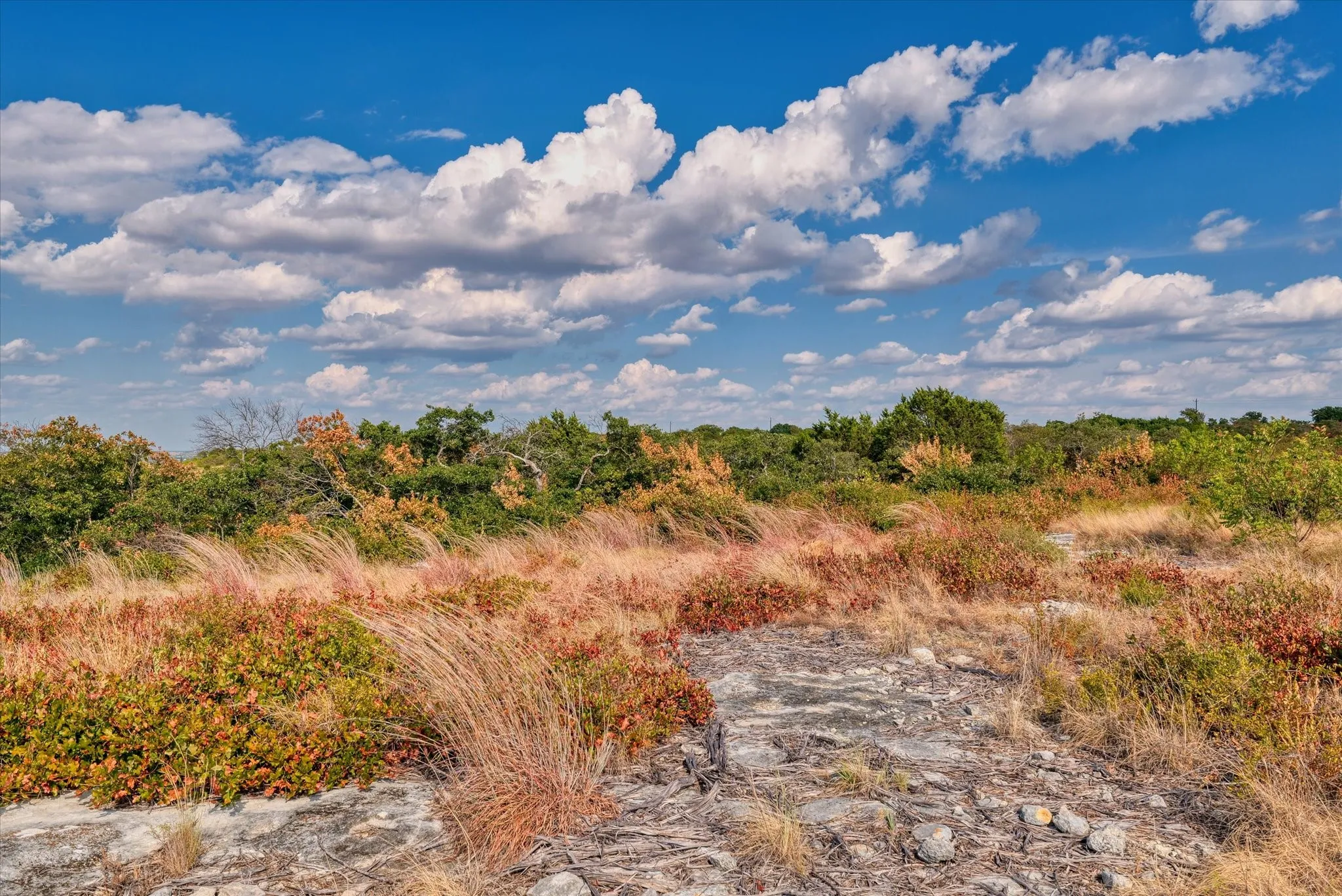 Unimproved Land For Sale in Hamilton County , LOT 29 CR 511, Hamilton, Texas 76531, 0, 0, Garage spaces, 0 Sqft, built in 0, mls#21381302, Real Estate Agent in Hamilton, Homes For Sale in Hamilton county, Homes For Sale in Hamilton, Realtor in Hamilton Texas, Real Estate Brokerage Independent Realty Texas, Luminita Cordes Realtor