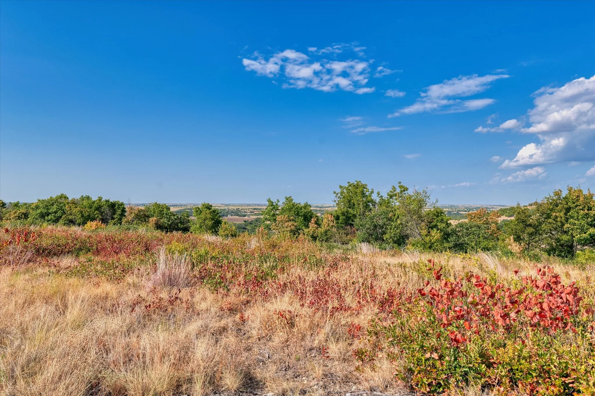 Unimproved Land For Sale in Hamilton County , LOT 29 CR 511, Hamilton, Texas 76531, 0, 0, Garage spaces, 0 Sqft, built in 0, mls#21381302, Real Estate Agent in Hamilton, Homes For Sale in Hamilton county, Homes For Sale in Hamilton, Realtor in Hamilton Texas, Real Estate Brokerage Independent Realty Texas, Luminita Cordes Realtor