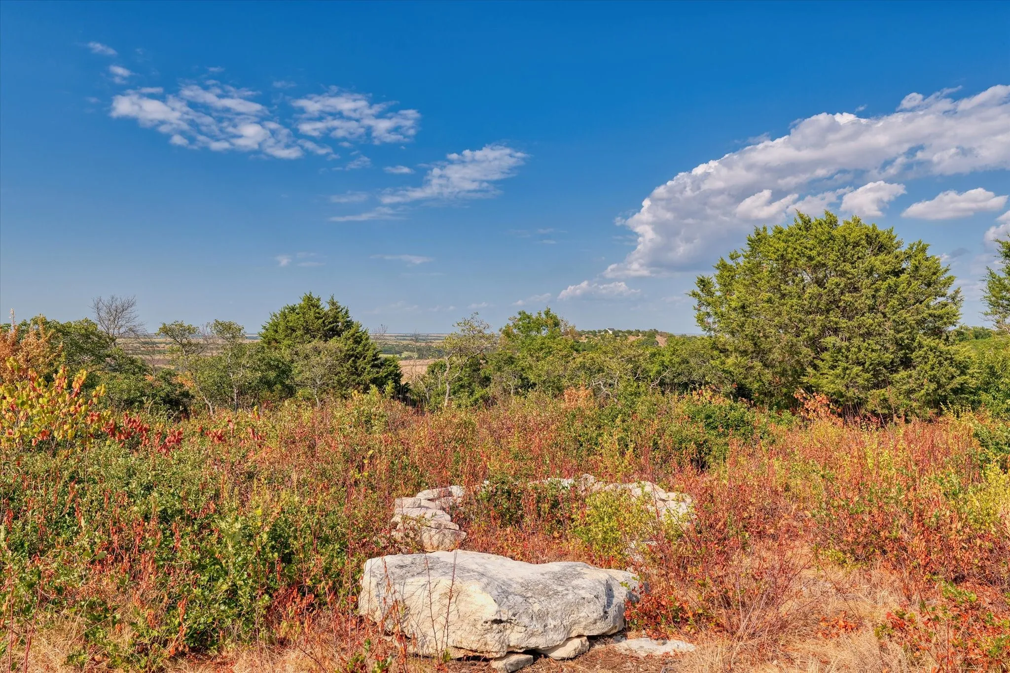 Unimproved Land For Sale in Hamilton County , LOT 29 CR 511, Hamilton, Texas 76531, 0, 0, Garage spaces, 0 Sqft, built in 0, mls#21381302, Real Estate Agent in Hamilton, Homes For Sale in Hamilton county, Homes For Sale in Hamilton, Realtor in Hamilton Texas, Real Estate Brokerage Independent Realty Texas, Luminita Cordes Realtor