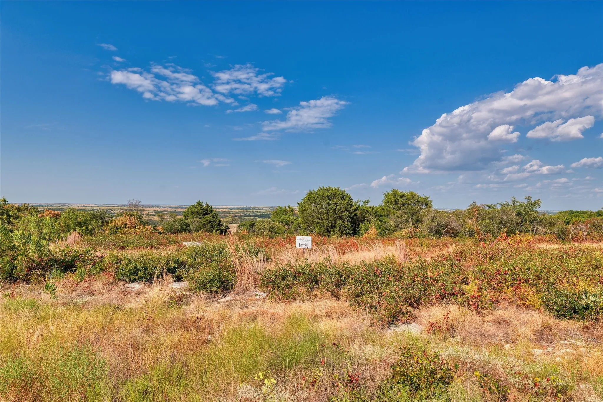 Unimproved Land For Sale in Hamilton County , LOT 29 CR 511, Hamilton, Texas 76531, 0, 0, Garage spaces, 0 Sqft, built in 0, mls#21381302, Real Estate Agent in Hamilton, Homes For Sale in Hamilton county, Homes For Sale in Hamilton, Realtor in Hamilton Texas, Real Estate Brokerage Independent Realty Texas, Luminita Cordes Realtor