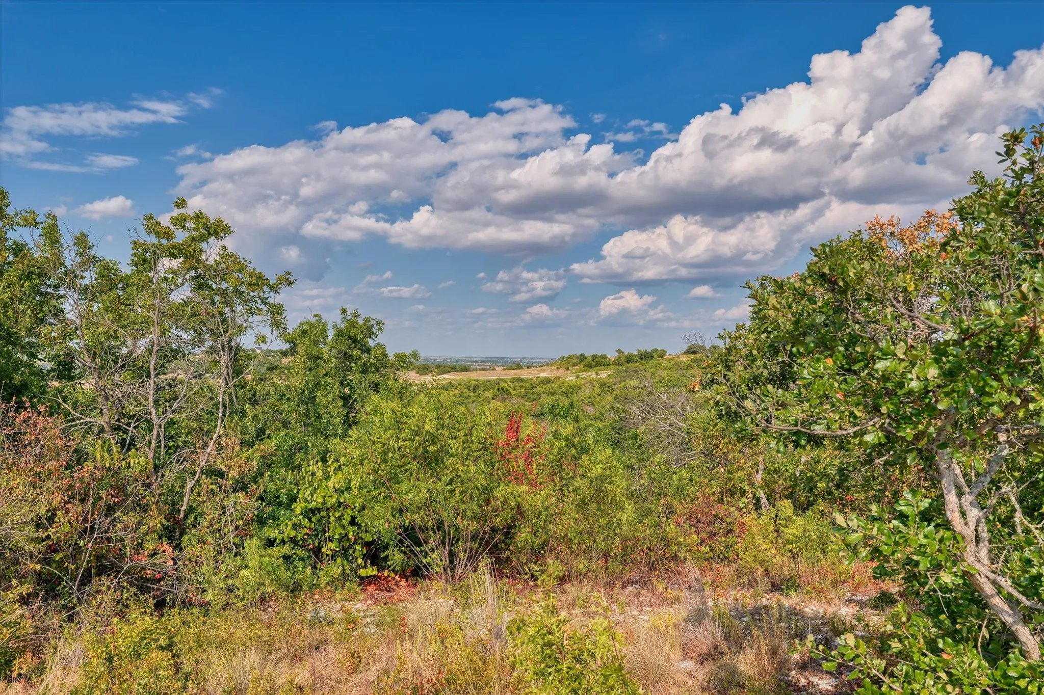 Unimproved Land For Sale in Hamilton County , LOT 29 CR 511, Hamilton, Texas 76531, 0, 0, Garage spaces, 0 Sqft, built in 0, mls#21381302, Real Estate Agent in Hamilton, Homes For Sale in Hamilton county, Homes For Sale in Hamilton, Realtor in Hamilton Texas, Real Estate Brokerage Independent Realty Texas, Luminita Cordes Realtor