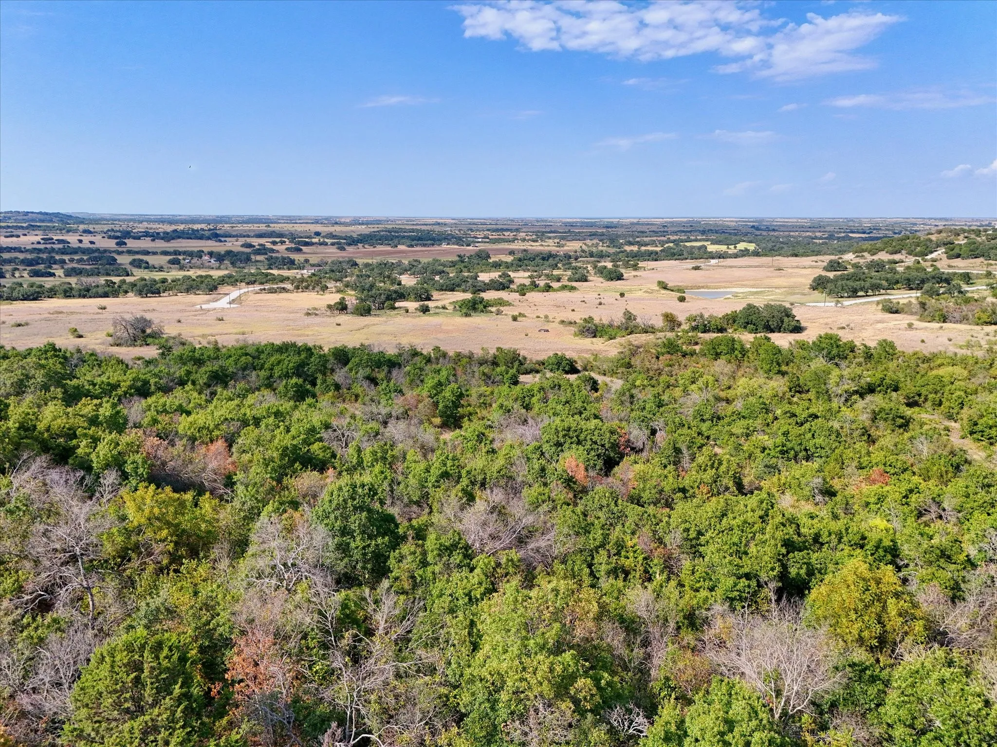 Unimproved Land For Sale in Hamilton County , LOT 29 CR 511, Hamilton, Texas 76531, 0, 0, Garage spaces, 0 Sqft, built in 0, mls#21381302, Real Estate Agent in Hamilton, Homes For Sale in Hamilton county, Homes For Sale in Hamilton, Realtor in Hamilton Texas, Real Estate Brokerage Independent Realty Texas, Luminita Cordes Realtor