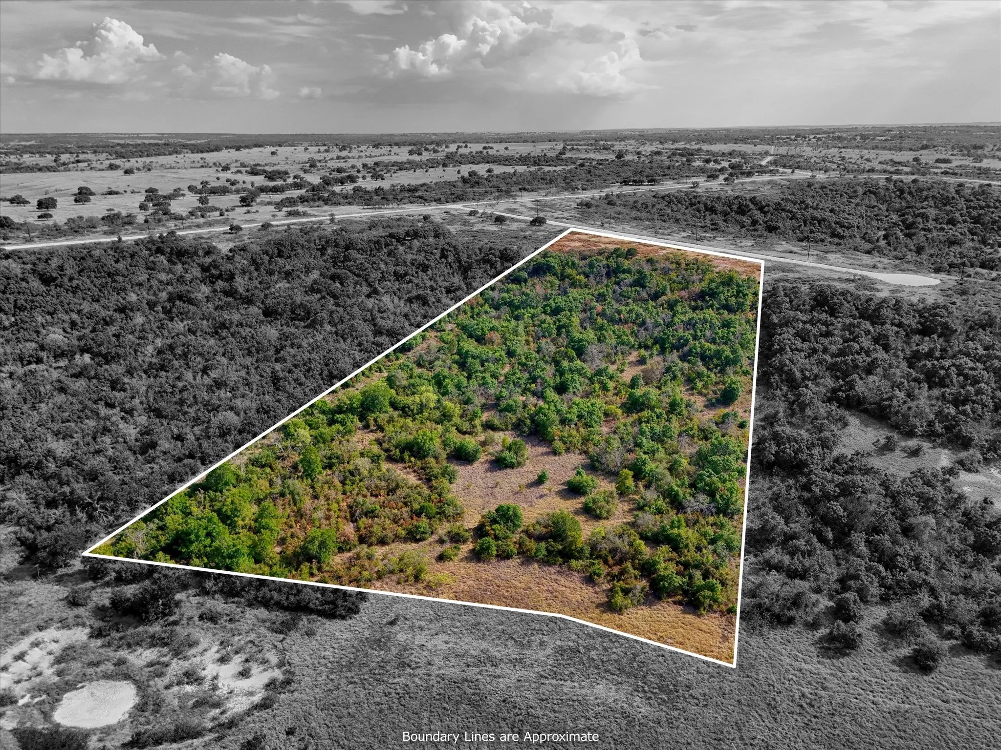 Unimproved Land For Sale in Hamilton County , LOT 29 CR 511, Hamilton, Texas 76531, 0, 0, Garage spaces, 0 Sqft, built in 0, mls#21381302, Real Estate Agent in Hamilton, Homes For Sale in Hamilton county, Homes For Sale in Hamilton, Realtor in Hamilton Texas, Real Estate Brokerage Independent Realty Texas, Luminita Cordes Realtor