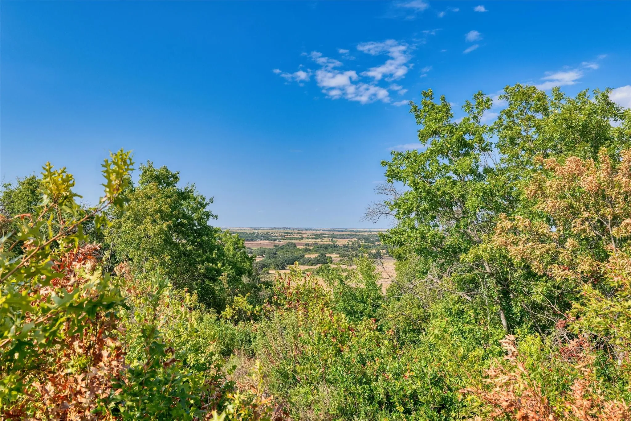 Unimproved Land For Sale in Hamilton County , LOT 29 CR 511, Hamilton, Texas 76531, 0, 0, Garage spaces, 0 Sqft, built in 0, mls#21381302, Real Estate Agent in Hamilton, Homes For Sale in Hamilton county, Homes For Sale in Hamilton, Realtor in Hamilton Texas, Real Estate Brokerage Independent Realty Texas, Luminita Cordes Realtor