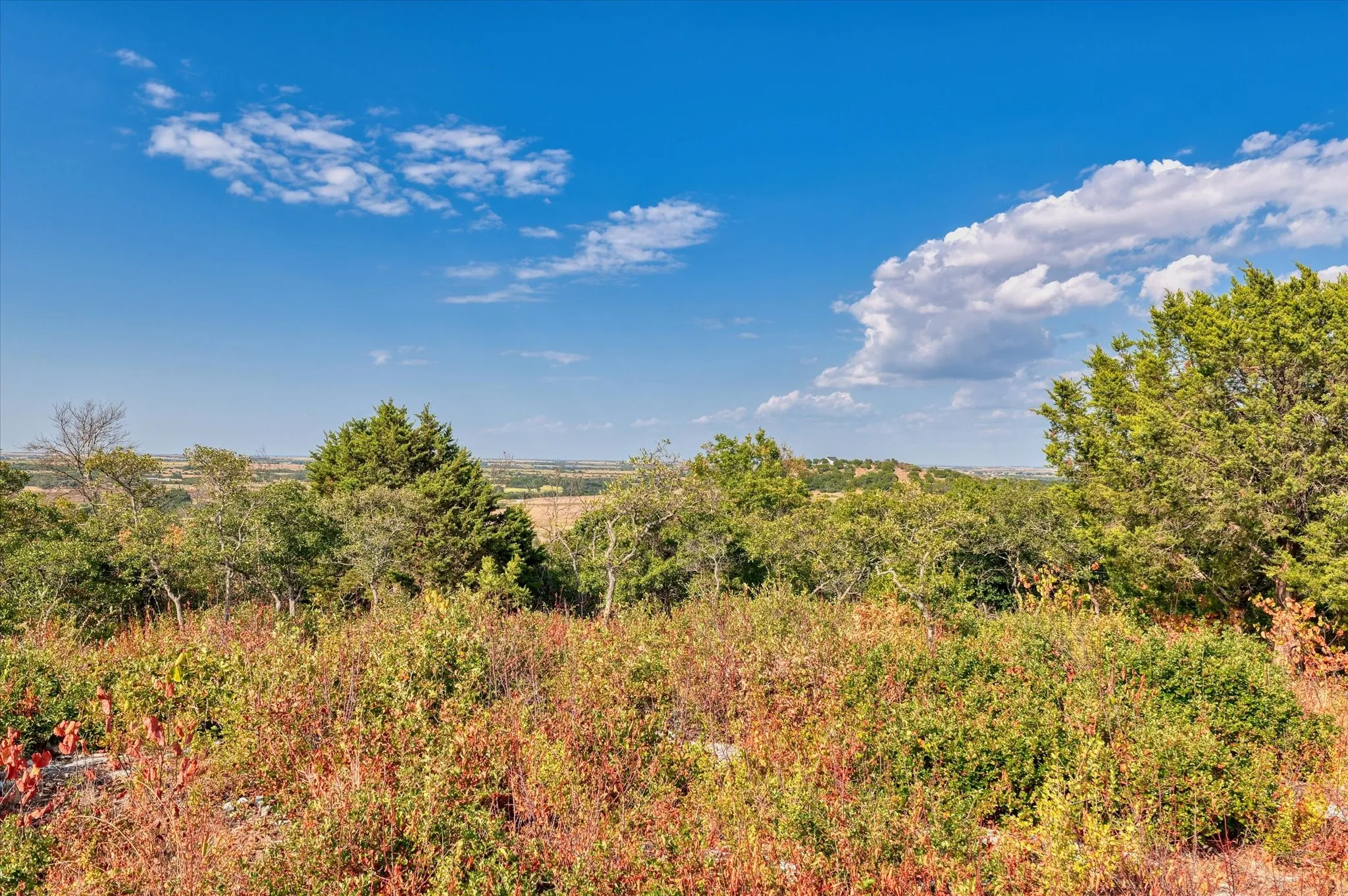 Unimproved Land For Sale in Hamilton County , LOT 29 CR 511, Hamilton, Texas 76531, 0, 0, Garage spaces, 0 Sqft, built in 0, mls#21381302, Real Estate Agent in Hamilton, Homes For Sale in Hamilton county, Homes For Sale in Hamilton, Realtor in Hamilton Texas, Real Estate Brokerage Independent Realty Texas, Luminita Cordes Realtor