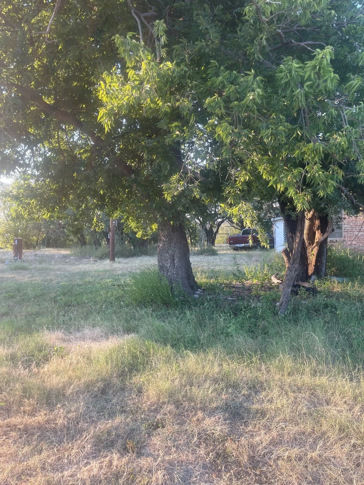 Farm For Sale in Comanche County , 4750 Highway 1702, Gustine, Texas 76455, 3 Bedroom, 2 Bathroom, 2 Garage spaces, 1,683 Sqft, built in 1970, mls#21379255, Real Estate Agent in Gustine, Homes For Sale in Comanche county, Homes For Sale in Gustine, Realtor in Gustine Texas, Real Estate Brokerage Independent Realty Texas, Luminita Cordes Realtor