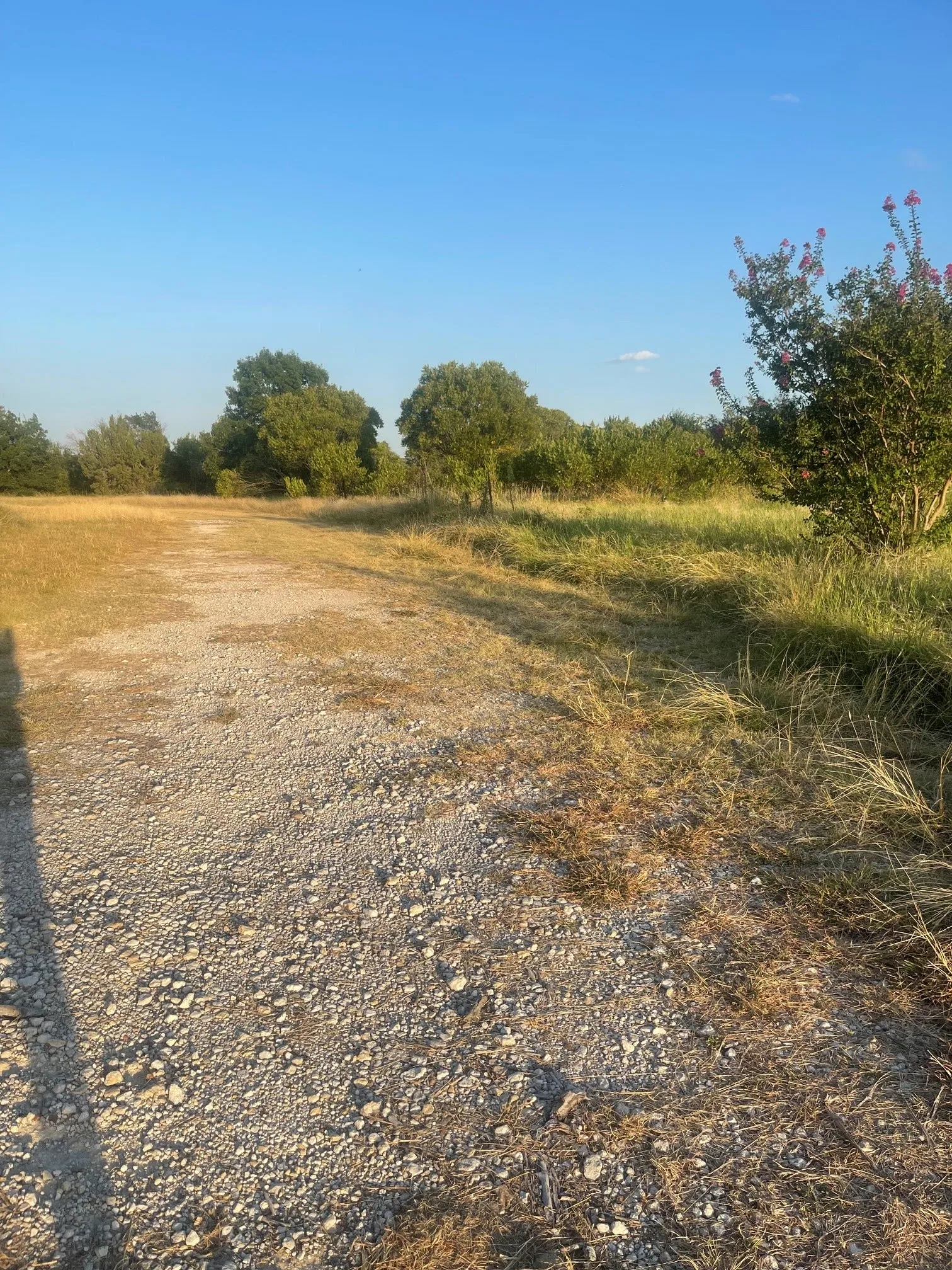 Farm For Sale in Comanche County , 4750 Highway 1702, Gustine, Texas 76455, 3 Bedroom, 2 Bathroom, 2 Garage spaces, 1,683 Sqft, built in 1970, mls#21379255, Real Estate Agent in Gustine, Homes For Sale in Comanche county, Homes For Sale in Gustine, Realtor in Gustine Texas, Real Estate Brokerage Independent Realty Texas, Luminita Cordes Realtor