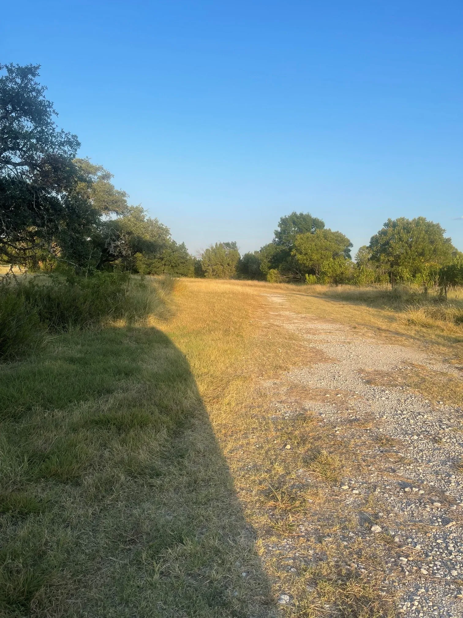 Farm For Sale in Comanche County , 4750 Highway 1702, Gustine, Texas 76455, 3 Bedroom, 2 Bathroom, 2 Garage spaces, 1,683 Sqft, built in 1970, mls#21379255, Real Estate Agent in Gustine, Homes For Sale in Comanche county, Homes For Sale in Gustine, Realtor in Gustine Texas, Real Estate Brokerage Independent Realty Texas, Luminita Cordes Realtor