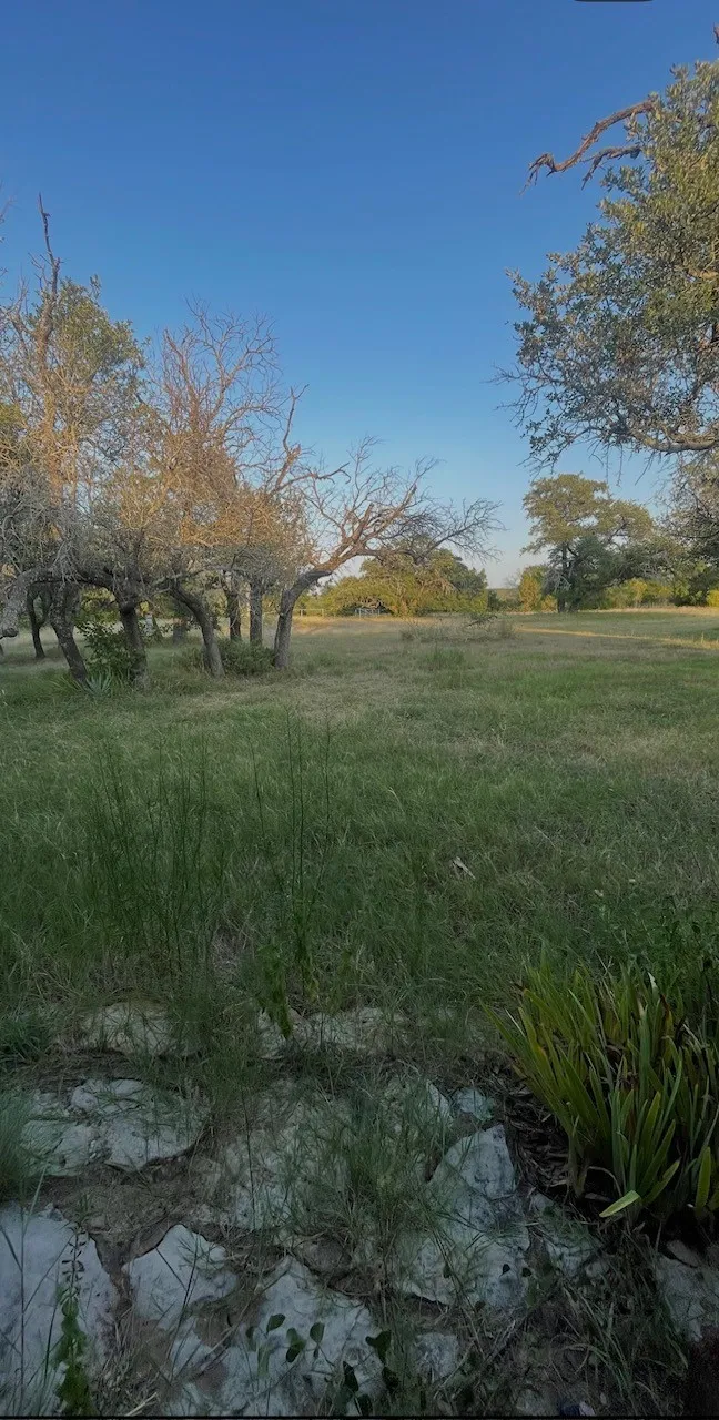Farm For Sale in Comanche County , 4750 Highway 1702, Gustine, Texas 76455, 3 Bedroom, 2 Bathroom, 2 Garage spaces, 1,683 Sqft, built in 1970, mls#21379255, Real Estate Agent in Gustine, Homes For Sale in Comanche county, Homes For Sale in Gustine, Realtor in Gustine Texas, Real Estate Brokerage Independent Realty Texas, Luminita Cordes Realtor