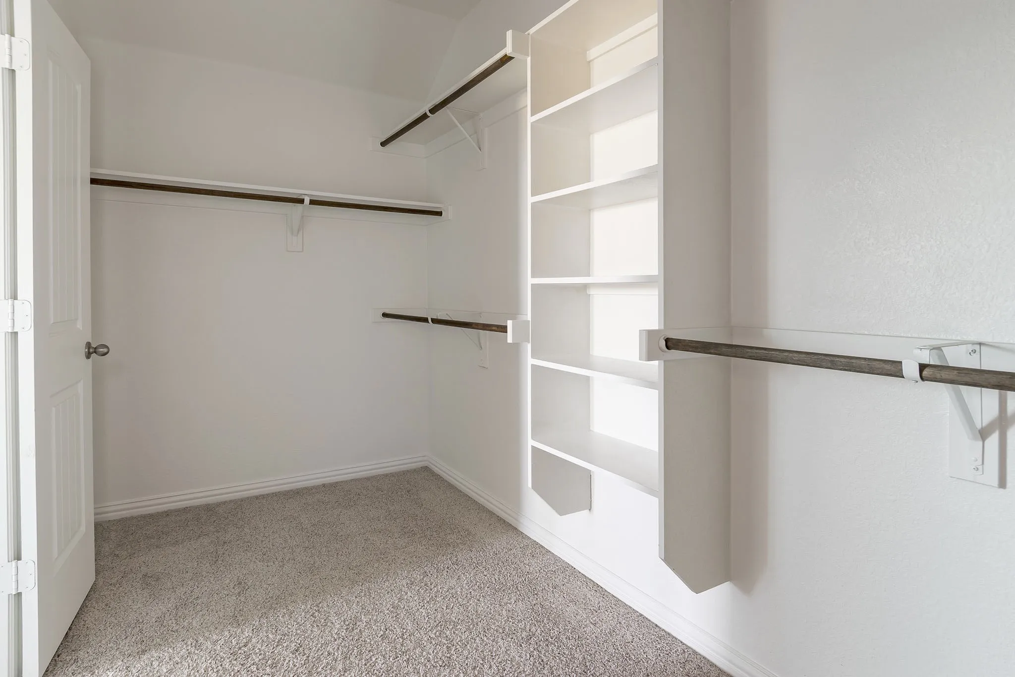 Wall-to-wall carpeting and built-in closet shelving and hanging rods