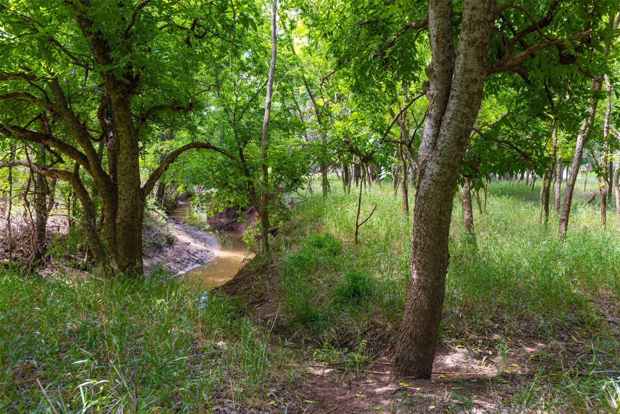 Ranch For Sale in Young County , 911 N Avenue C, Olney, Texas 76374, 0, 0, Garage spaces, 0 Sqft, built in 2004, mls#21381336, Real Estate Agent in Olney, Homes For Sale in Young county, Homes For Sale in Olney, Realtor in Olney Texas, Real Estate Brokerage Independent Realty Texas, Luminita Cordes Realtor