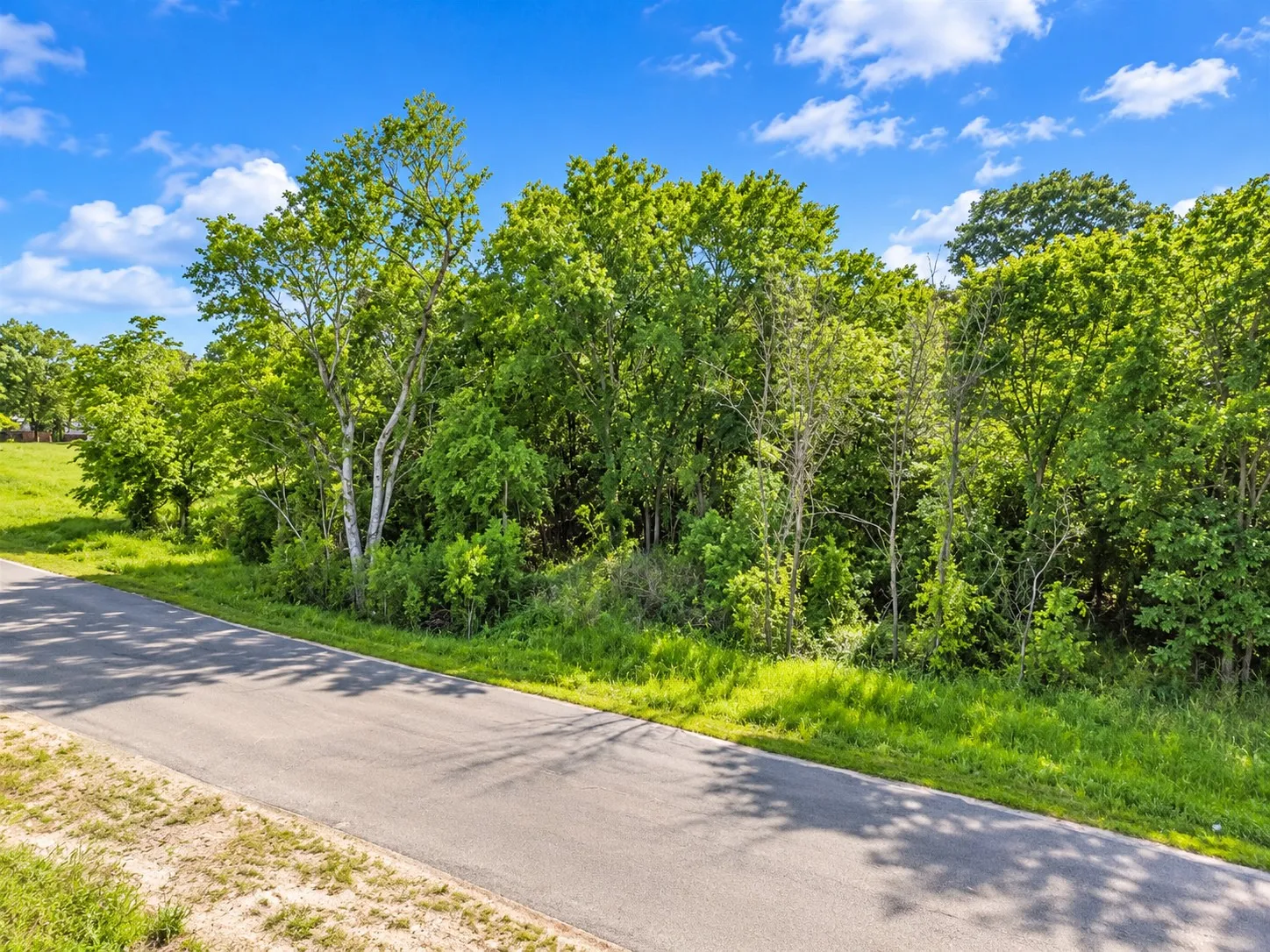 Wooded lot featuring mature trees and natural ground cover