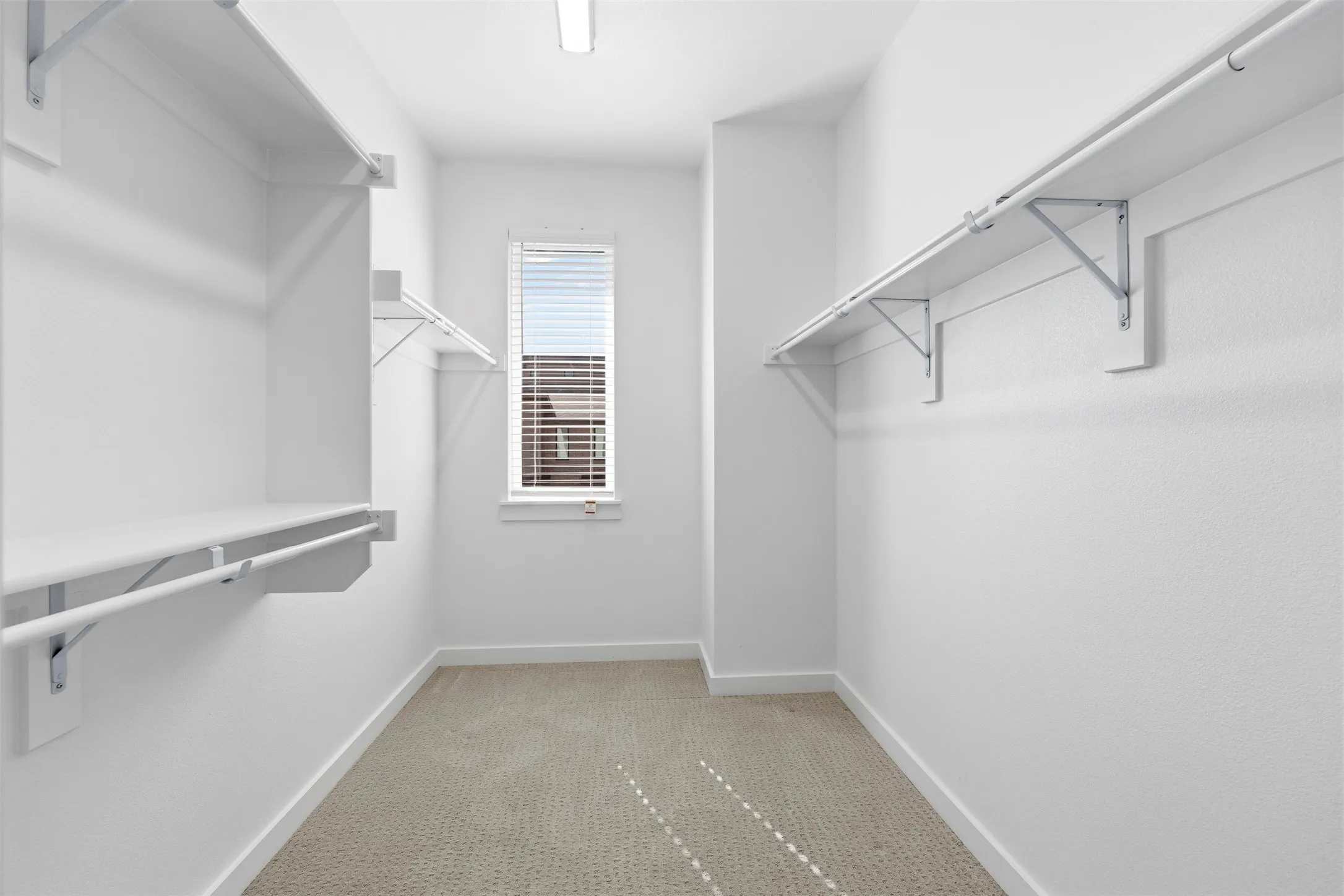 Walk-in closet with carpet flooring, window with blinds, and built-in shelving with hanging rods