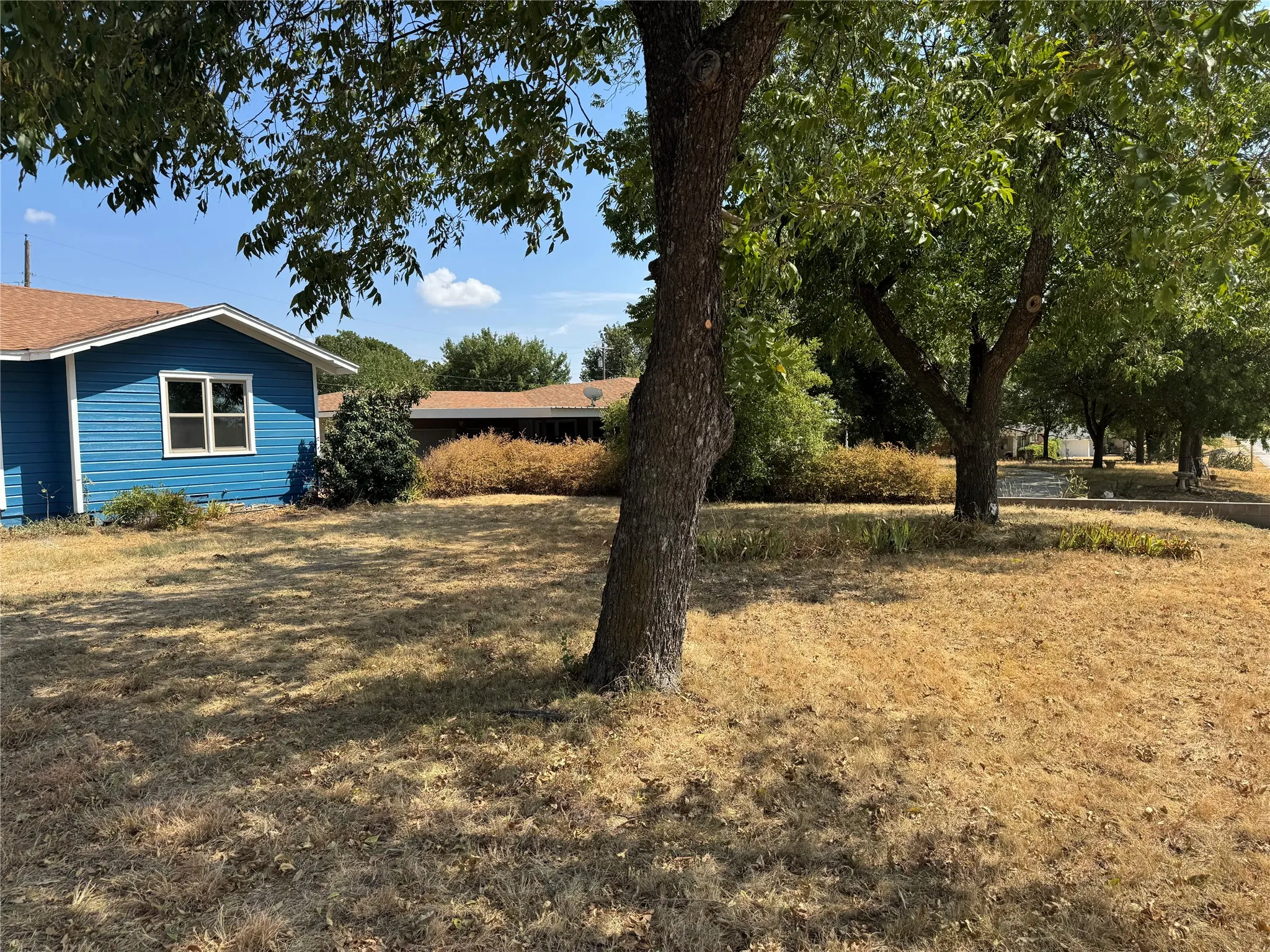 Good-producing pecan trees in front and back yards.