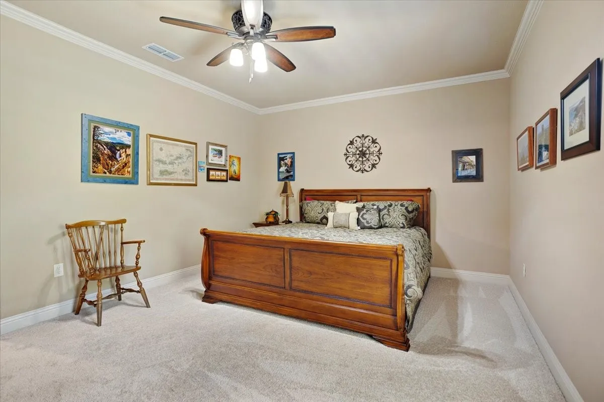 Neutral tone wall paint, crown molding, ceiling fan, and light gray carpet