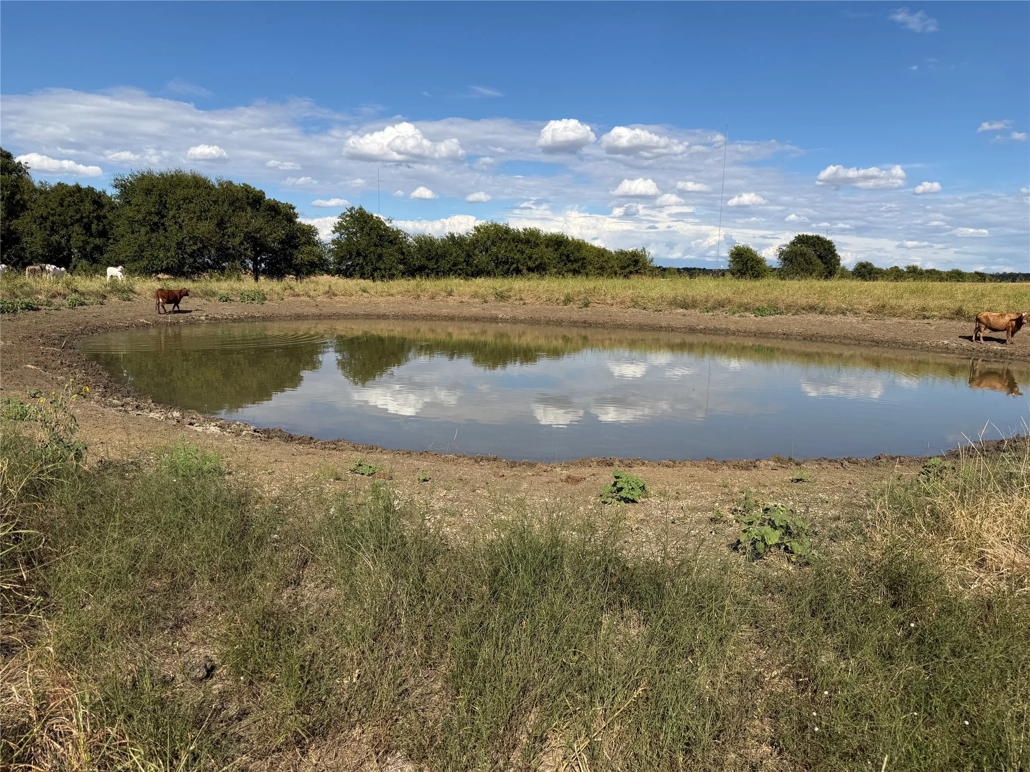 Unimproved Land For Sale in Mc Lennan County , TBD Spring Valley Road, Moody, Texas 76557, 0, 0, Garage spaces, 0 Sqft, built in 2026, mls#21381391, Real Estate Agent in Moody, Homes For Sale in Mc Lennan county, Homes For Sale in Moody, Realtor in Moody Texas, Real Estate Brokerage Independent Realty Texas, Luminita Cordes Realtor