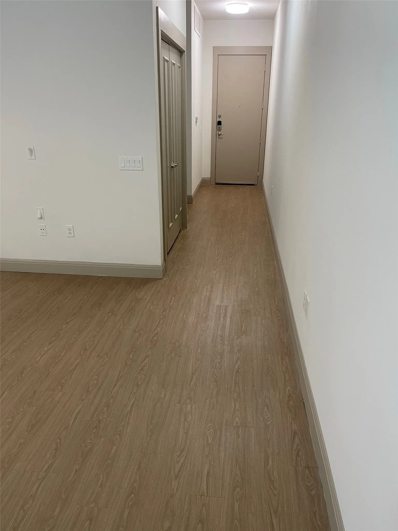Wood-finish flooring throughout, smooth walls, and a flush mount ceiling light fixture