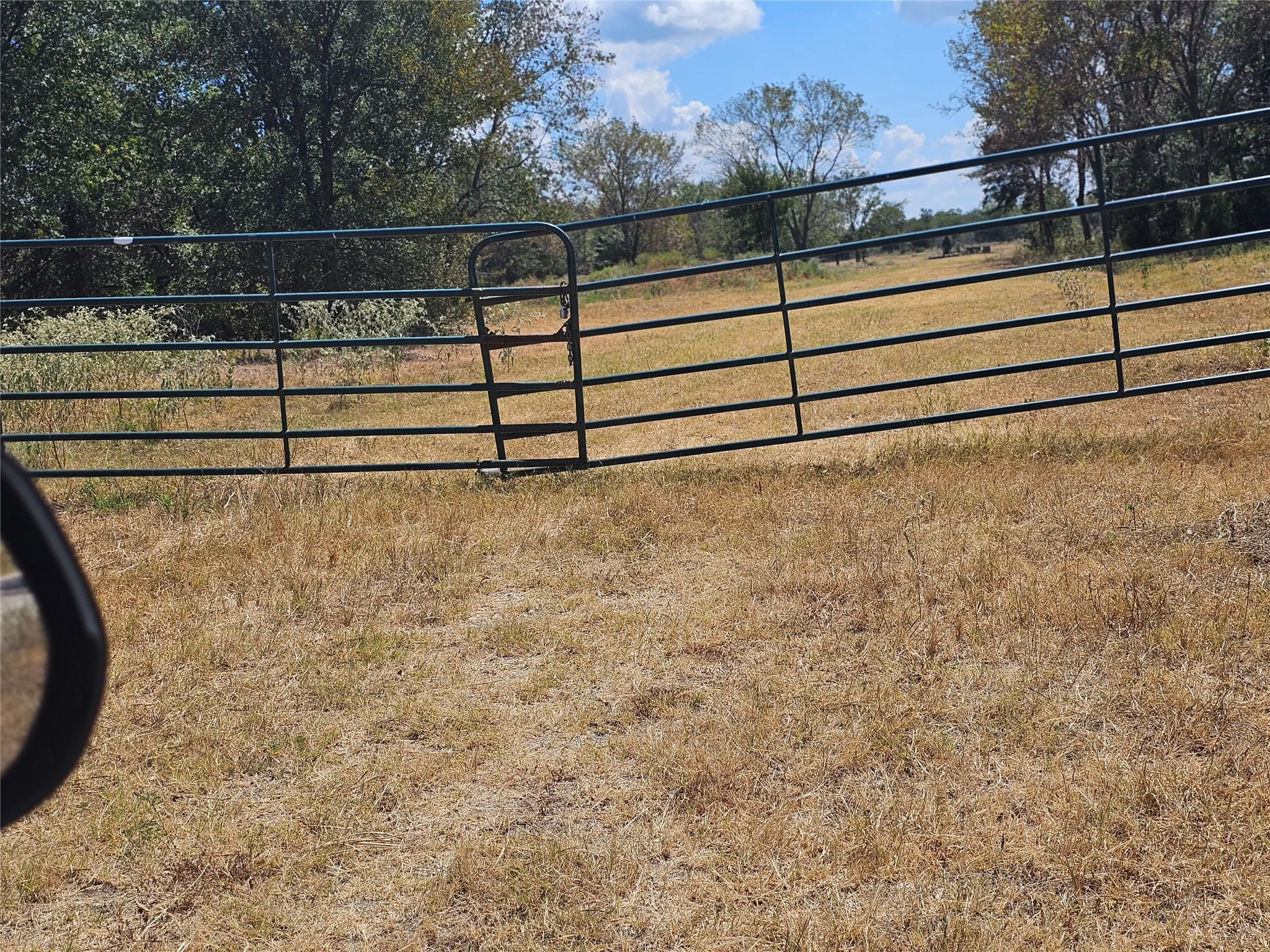Green metal fencing with a gate, bordering an open field