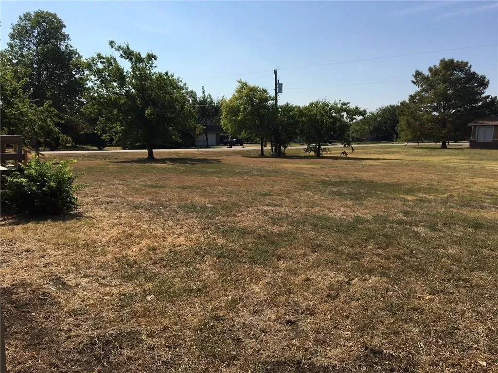 Expansive open lot with scattered mature trees and a clear sky backdrop