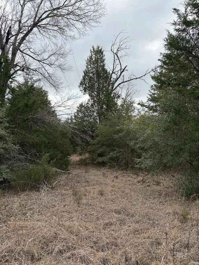 Unimproved Land For Sale in Freestone County , 000 County Road 506, Fairfield, Texas 75840, 0, 0, Garage spaces, 0 Sqft, built in 0, mls#21381548, Real Estate Agent in Fairfield, Homes For Sale in Freestone county, Homes For Sale in Fairfield, Realtor in Fairfield Texas, Real Estate Brokerage Independent Realty Texas, Luminita Cordes Realtor