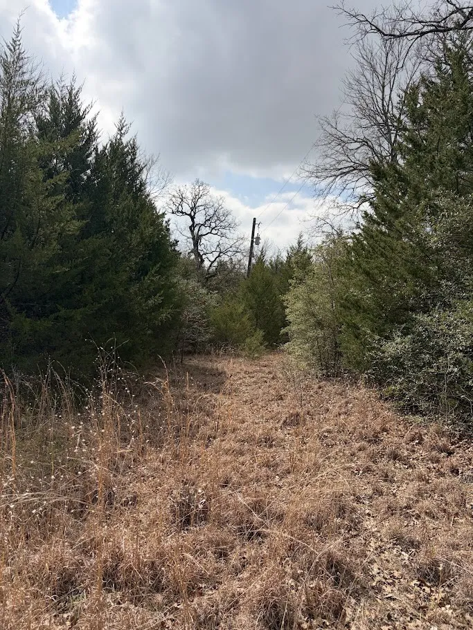 Unimproved Land For Sale in Freestone County , 000 County Road 506, Fairfield, Texas 75840, 0, 0, Garage spaces, 0 Sqft, built in 0, mls#21381548, Real Estate Agent in Fairfield, Homes For Sale in Freestone county, Homes For Sale in Fairfield, Realtor in Fairfield Texas, Real Estate Brokerage Independent Realty Texas, Luminita Cordes Realtor
